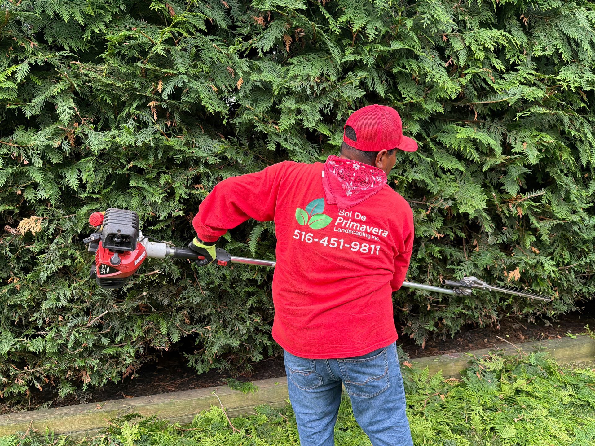 Person in a red shirt using a gas-powered string trimmer along a hedge in a yard