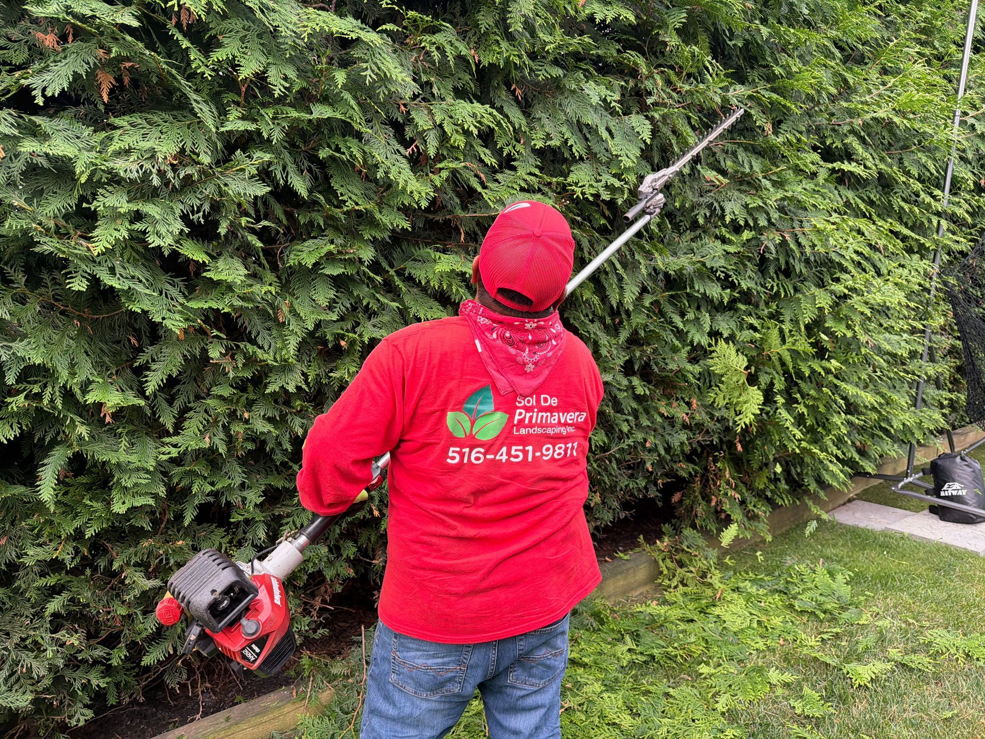 Worker in red jacket using a hedge trimmer on a tall green hedge in a yard.