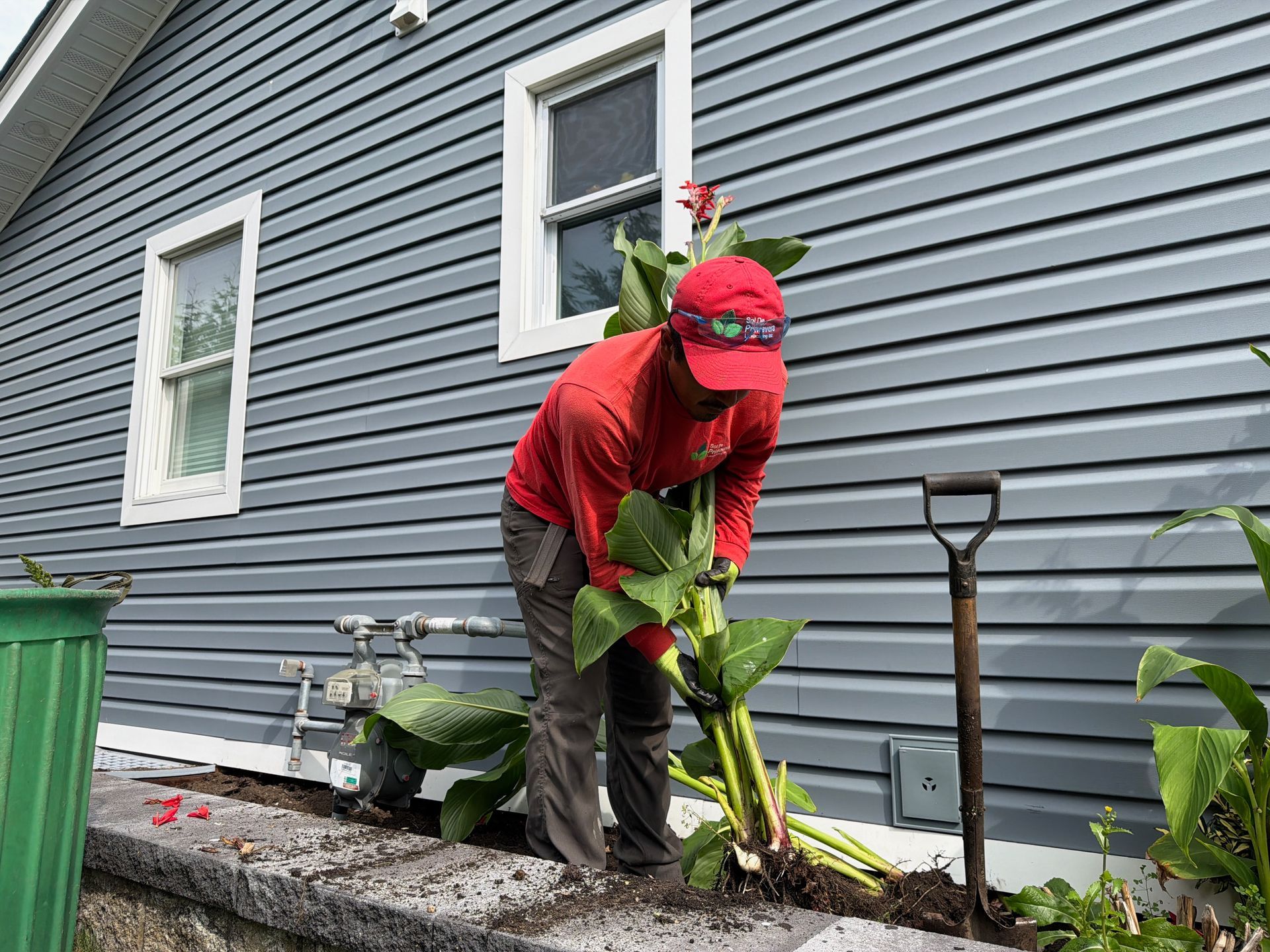 Person in red hoodie planting a green plant beside a gray house with a shovel and watering can