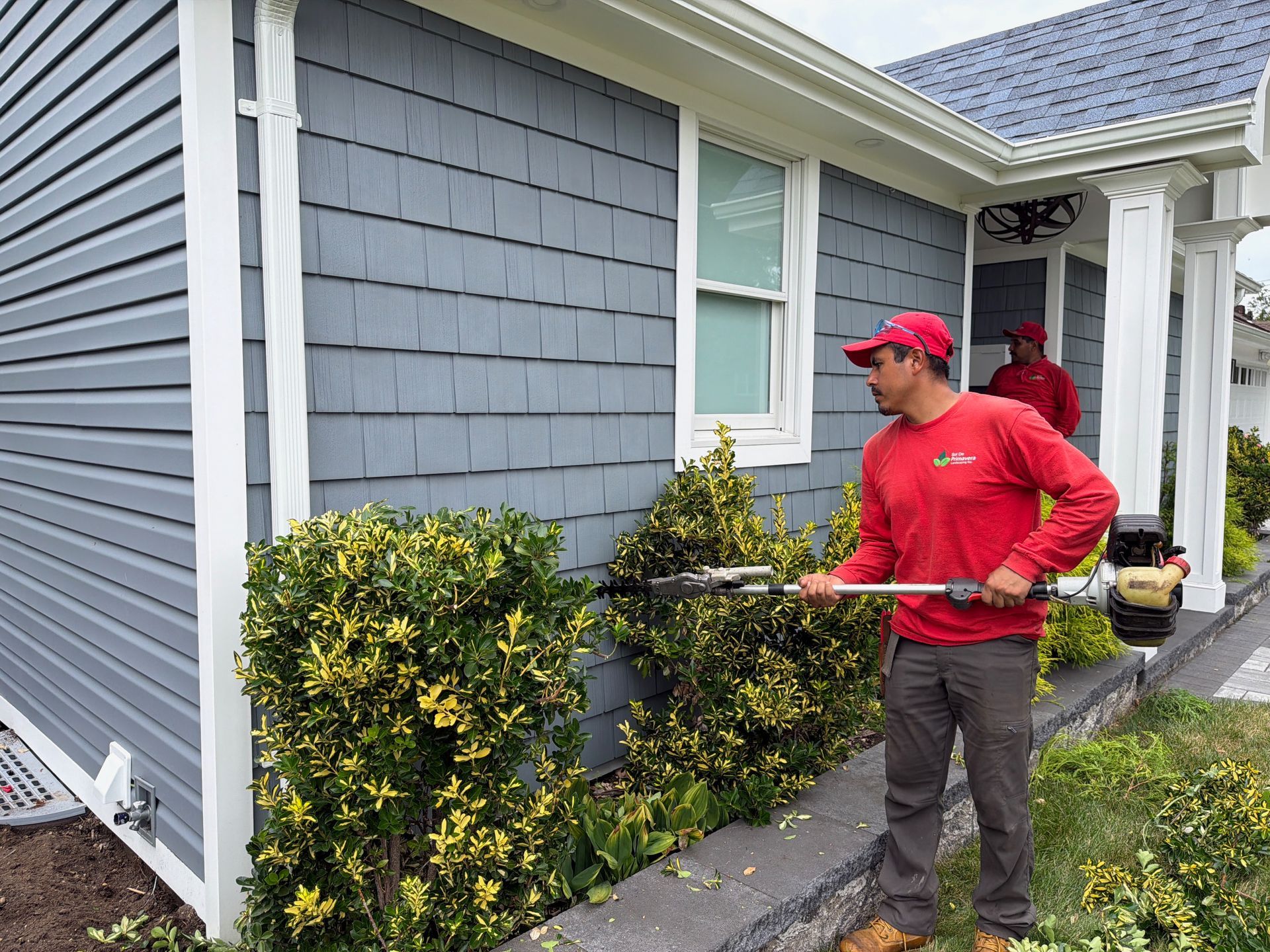 Workers trimming shrubs beside a gray house with white trim and yellow flowers near the foundation
