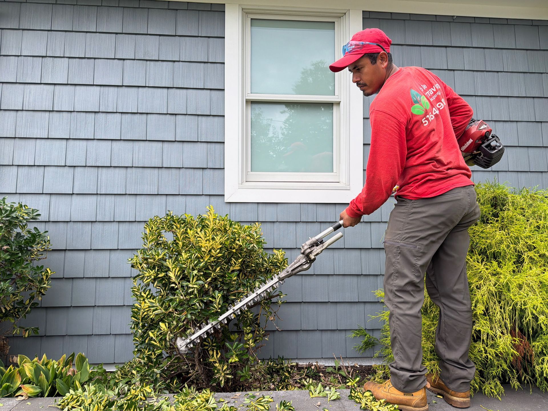 Worker in red using a hedge trimmer to trim shrubs beside a gray house