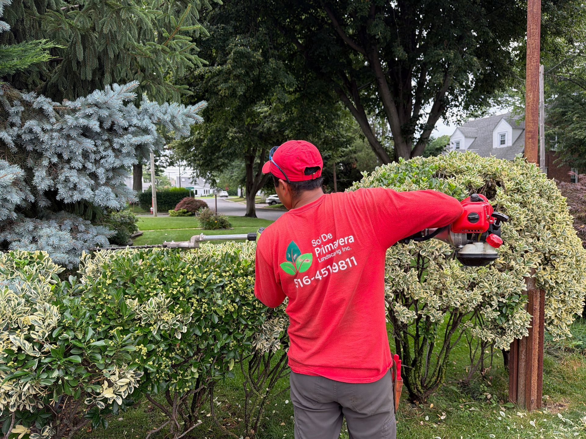 Person in red shirt and cap trimming a hedge in a leafy suburban yard with hedge trimmer