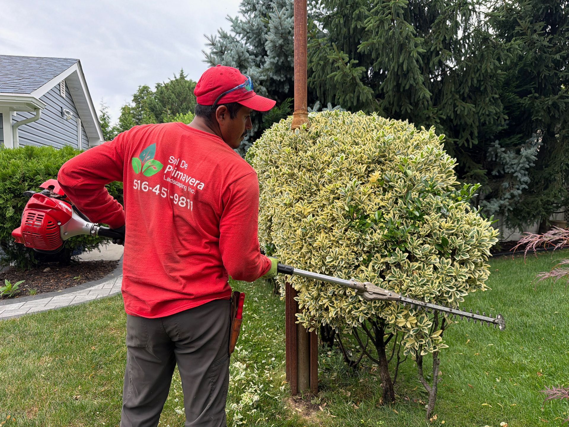 Worker in red uniform trims a shrub with a hedge trimmer in a yard