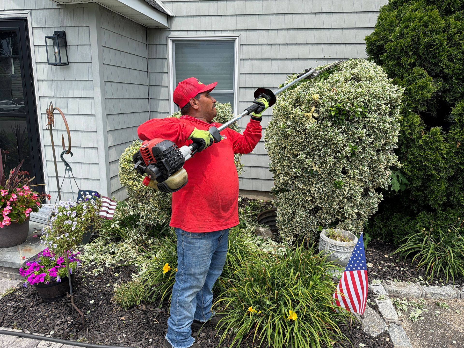Person in red shirt trimming a bush outside a house, with flowers and a small American flag nearby.