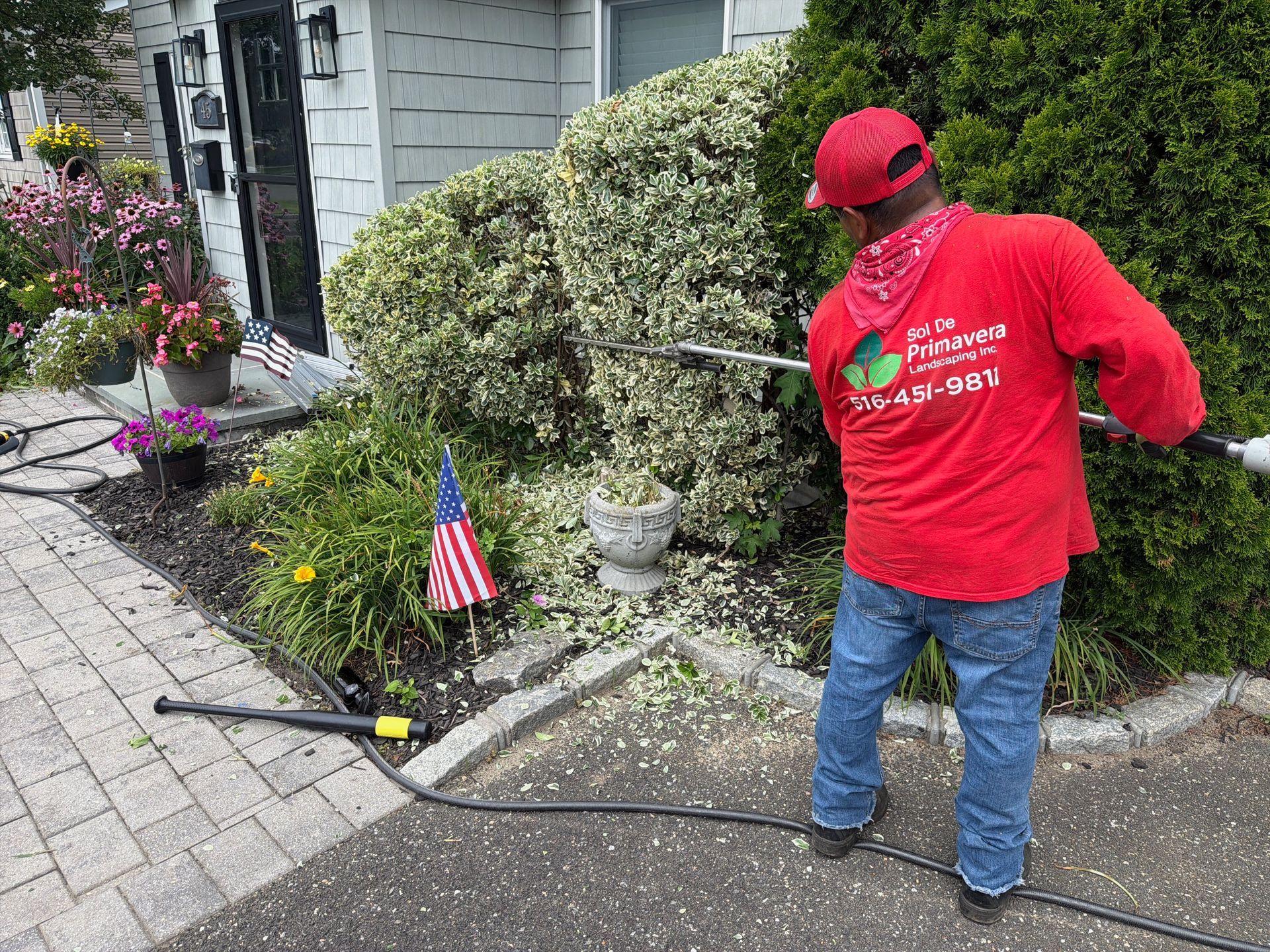 Person in a red shirt trimming shrubs beside a house, with a small American flag in the garden.