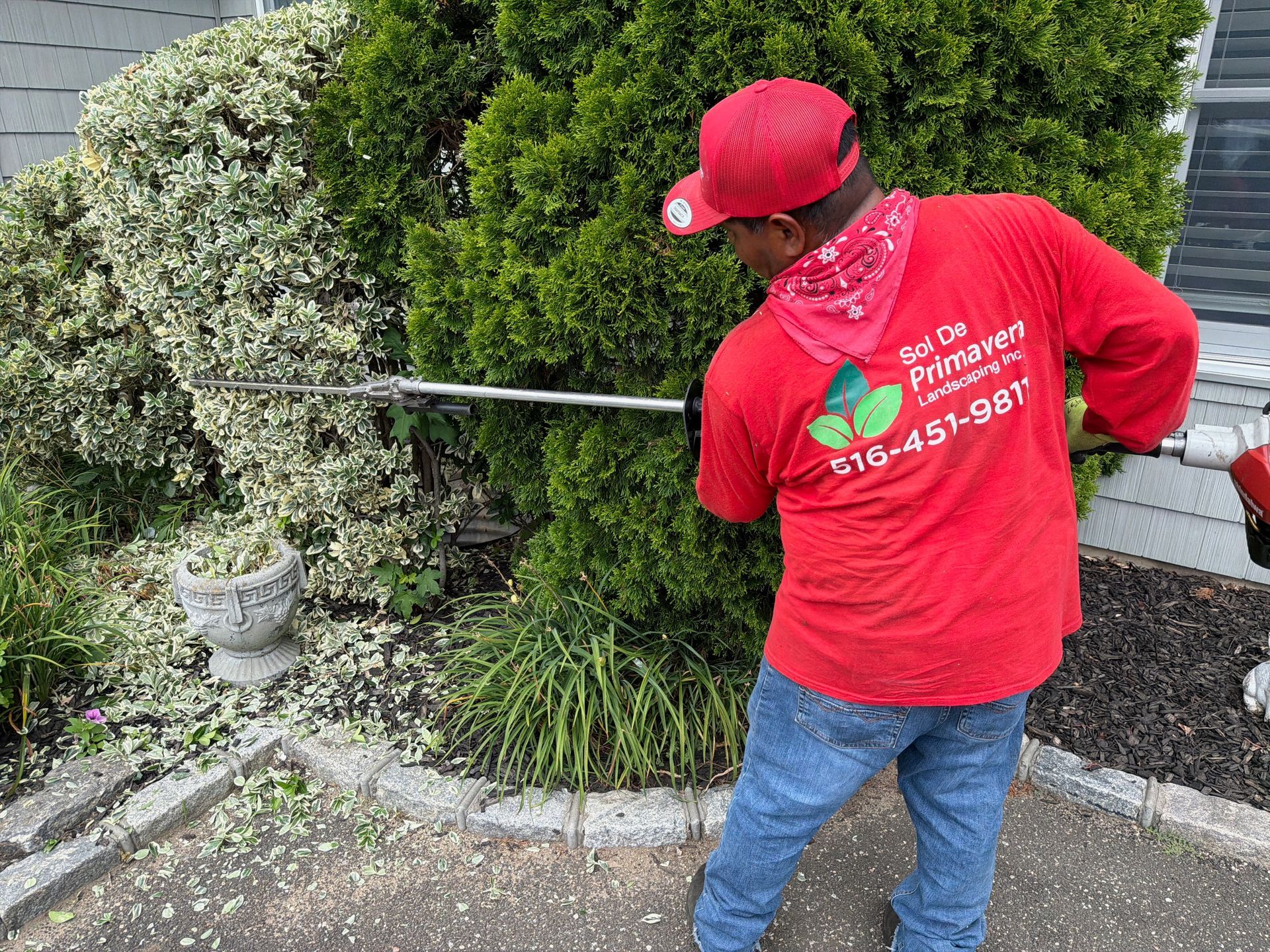 Worker in red shirt and cap spraying a hedge with a garden hose