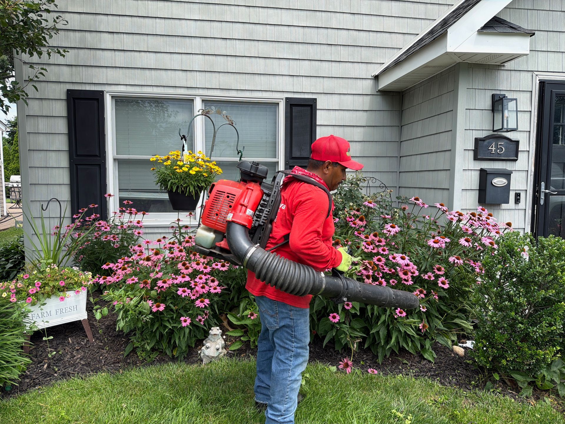 Worker using red backpack leaf blower in front of a gray house and pink flowers