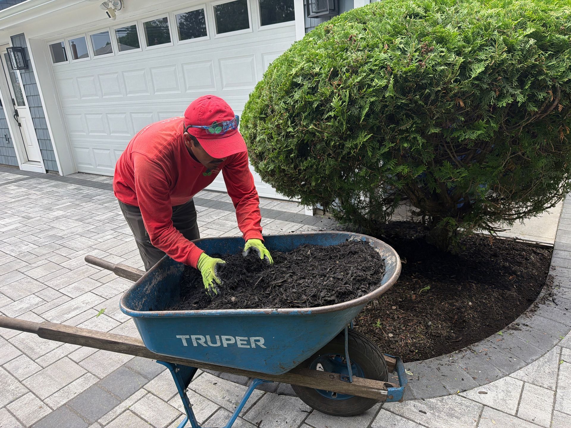 Person in red jacket and gloves shovels gravel into a wheelbarrow beside a trimmed hedge.