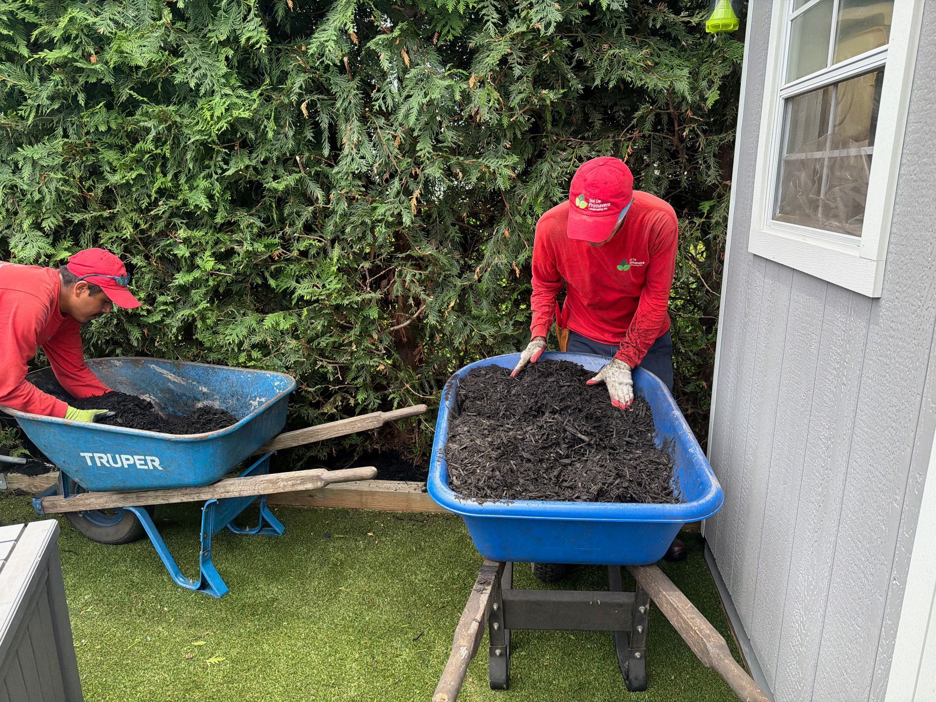 Two people in red shirts working with soil in wheelbarrows in a backyard garden.
