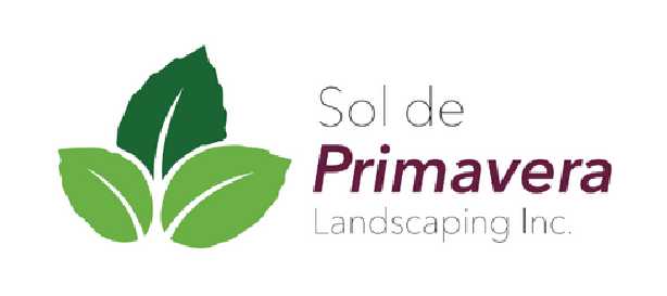Sol De Primavera Landscaping Inc Sol De Primavera Landscaping Inc logo