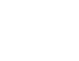 A white background with a few lines on it