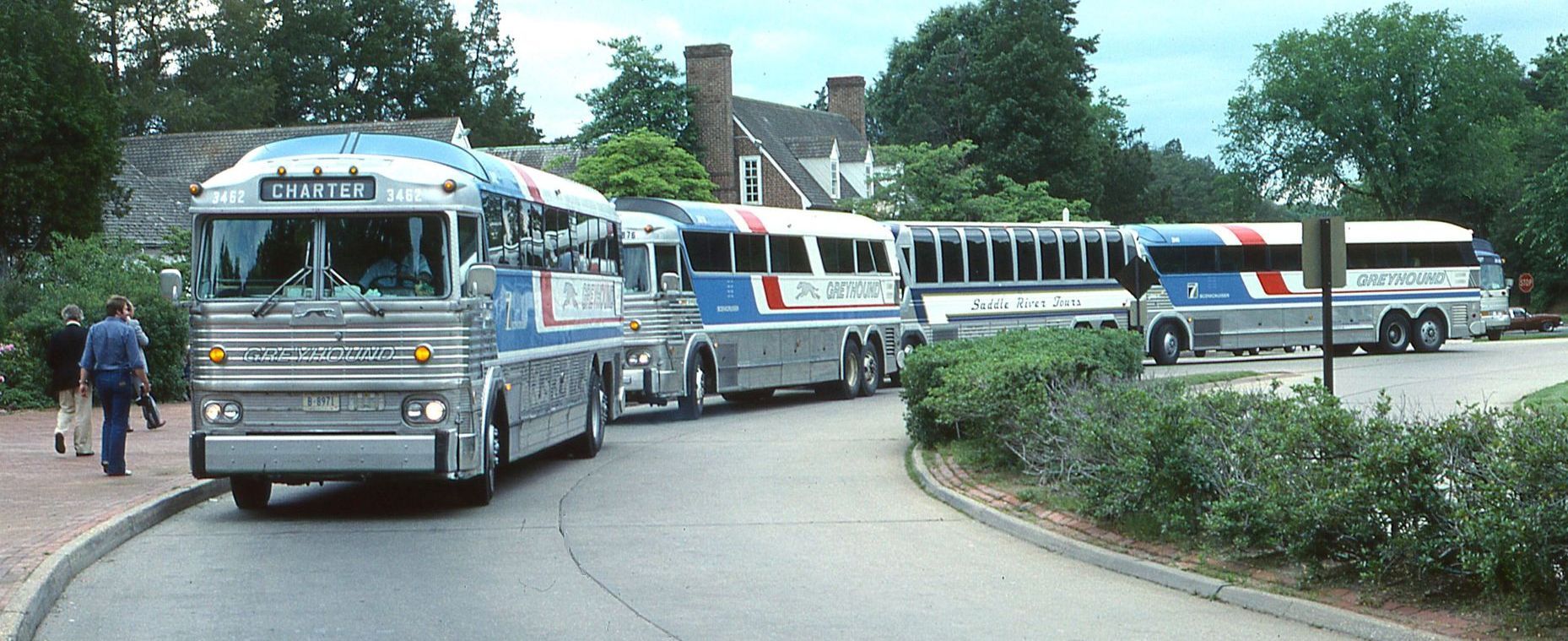 A row of buses are parked on the side of the road