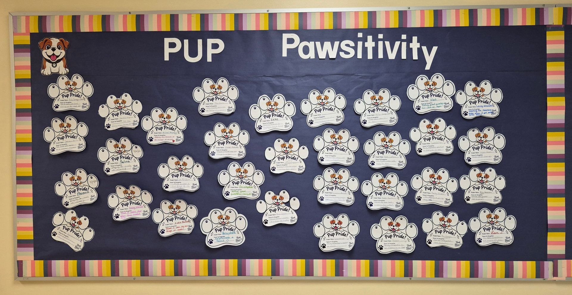 We have Paw Pride