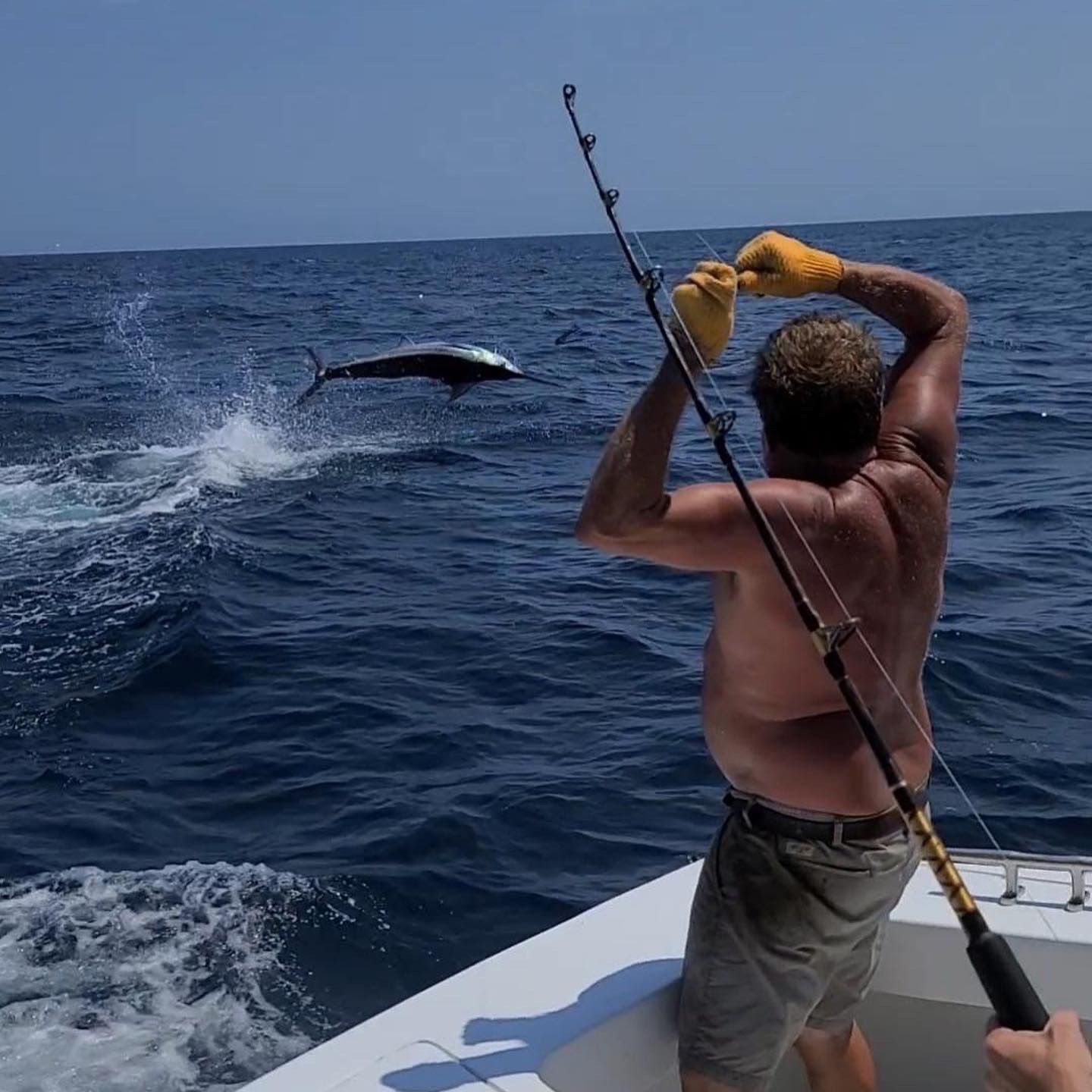 Man reeling in a marlin that leaps from the ocean near a boat on a sunny day.