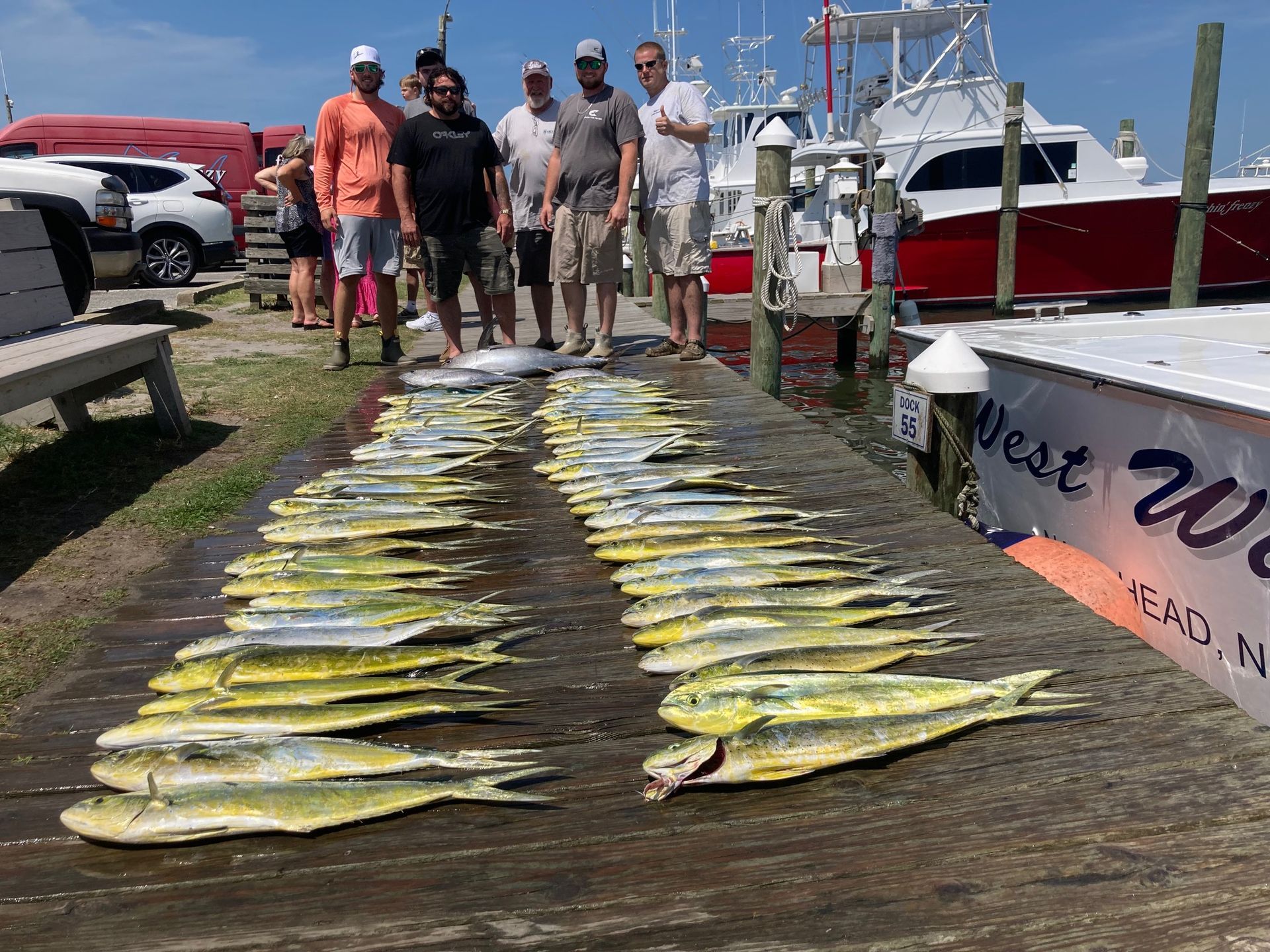 Group of men on a dock with a large catch of mahi-mahi fish. Blue sky, water, and boats in the background.