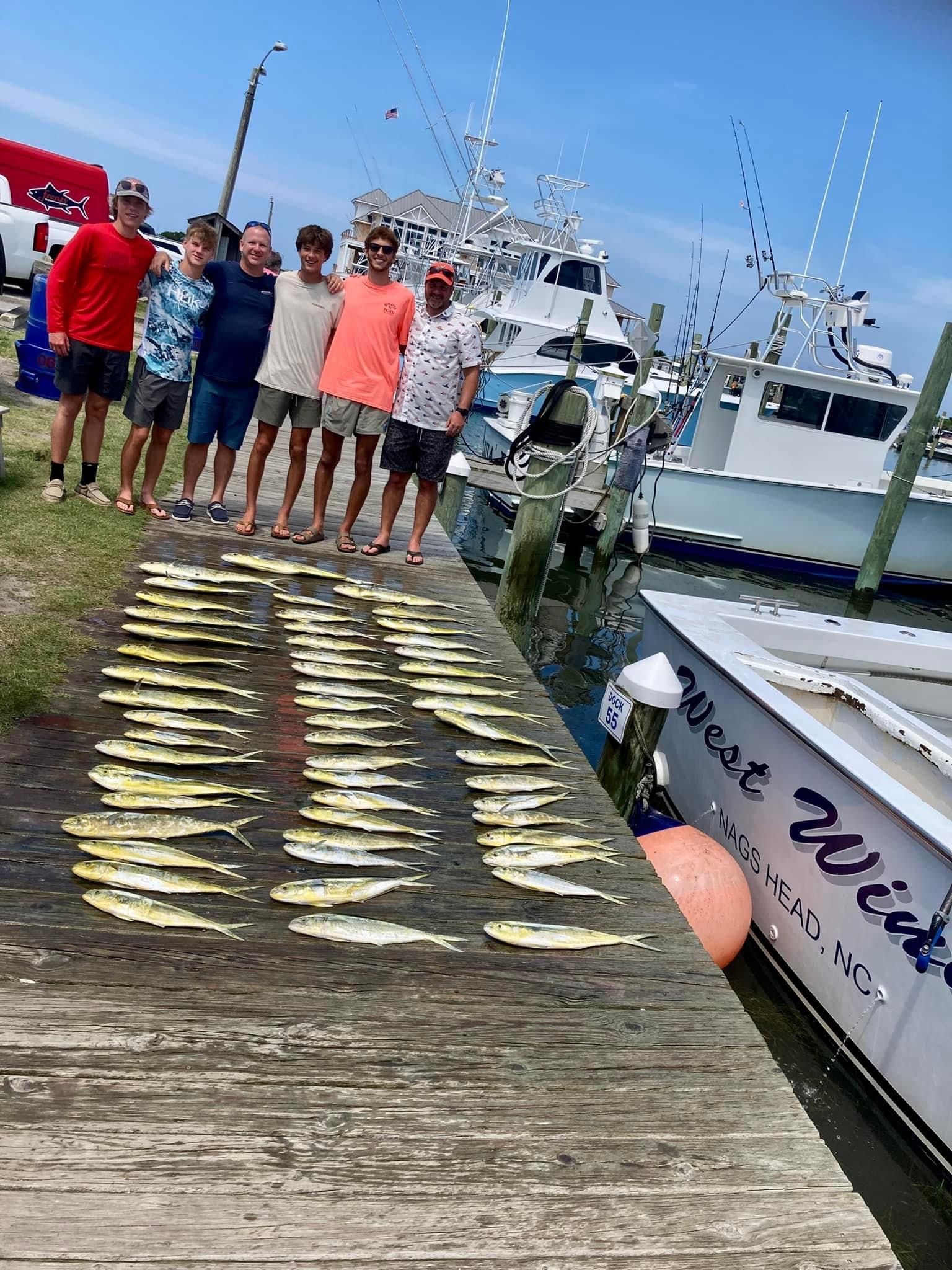 Group of people standing by a dock with many fish laid out. Boats and a red truck are visible. Bright sky.