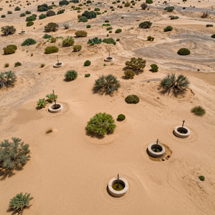 Aerial view of a sandy desert with scattered shrubs and circular irrigation basins.