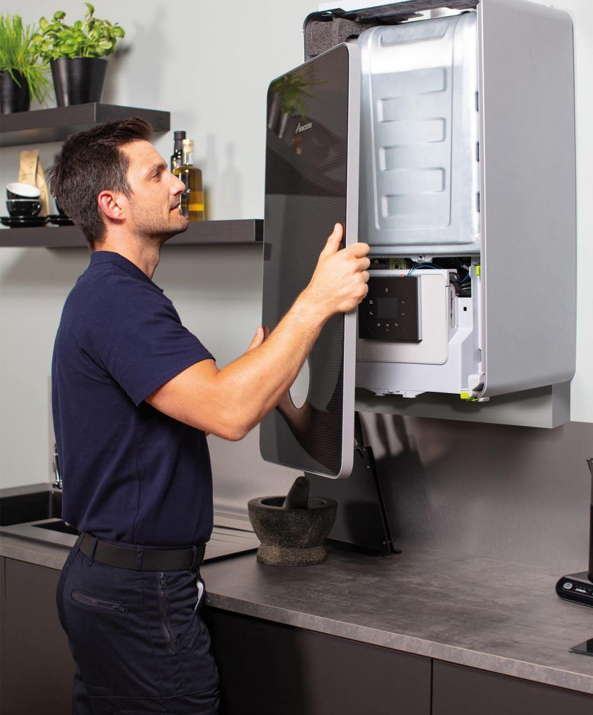Tropical palm trees against a clear sky with warm sunlight creating a relaxing holiday atmosphere