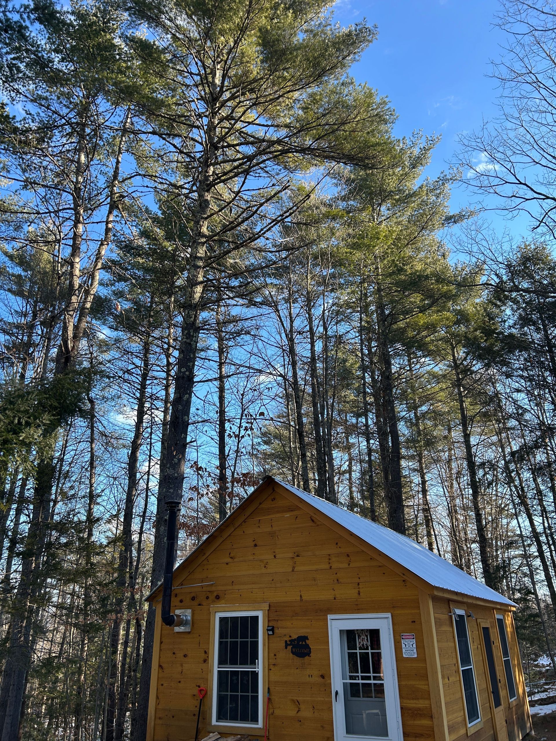 Small yellow cabin with white trim in a wooded forest under a clear blue sky.