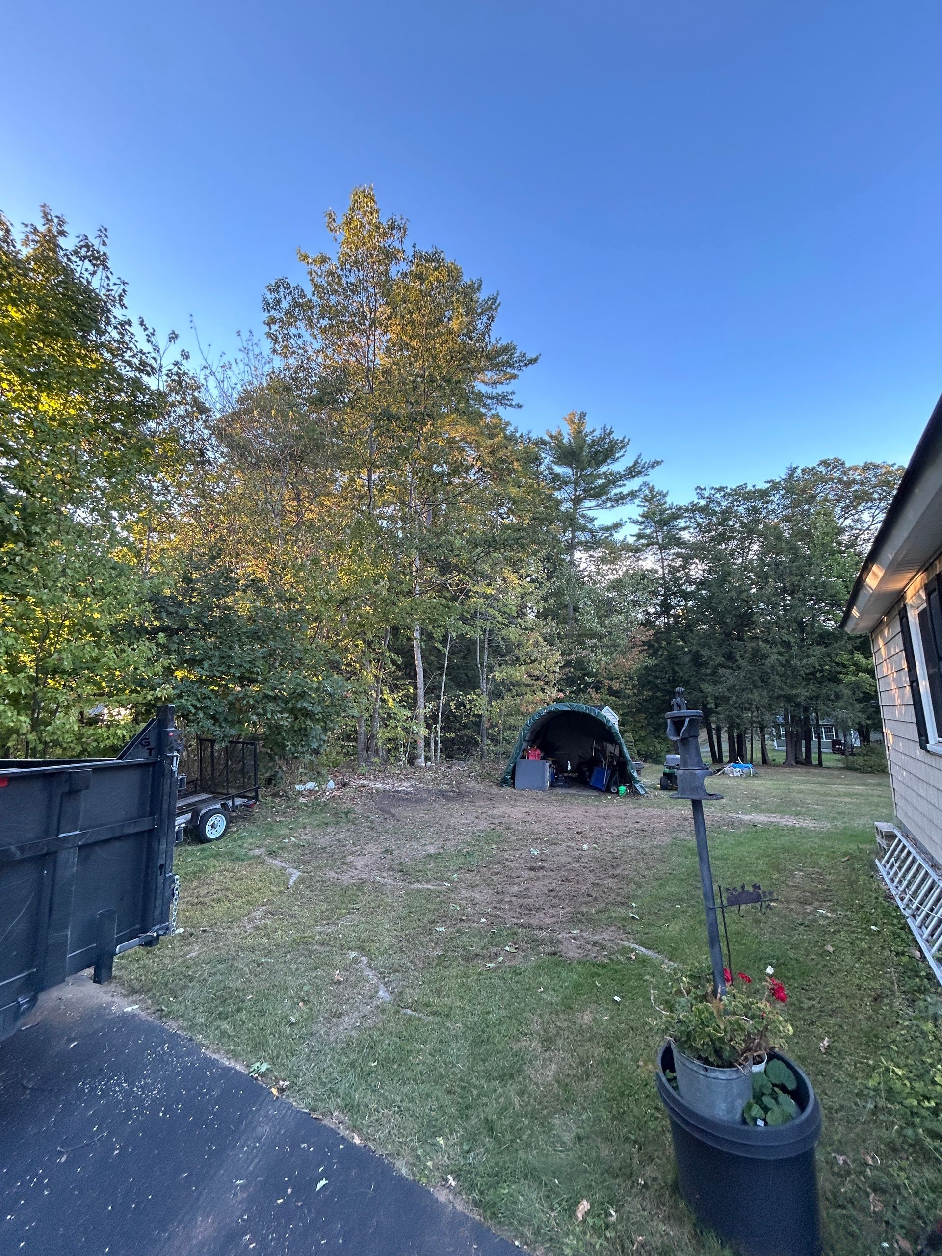 Backyard with trees, a black fence, and a small tent near a house at dusk.