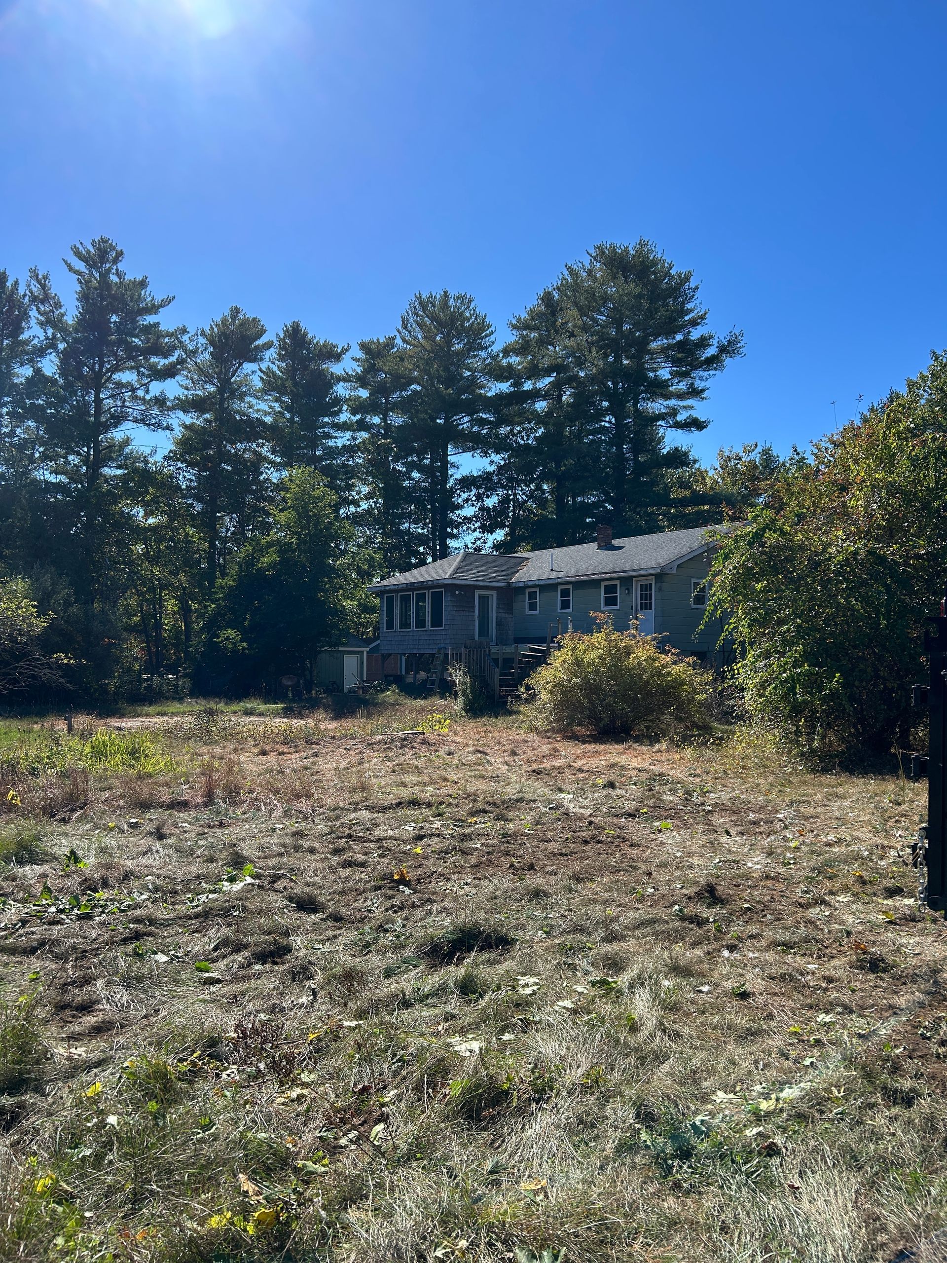 Sunny field with a small house and tall trees under a clear blue sky.
