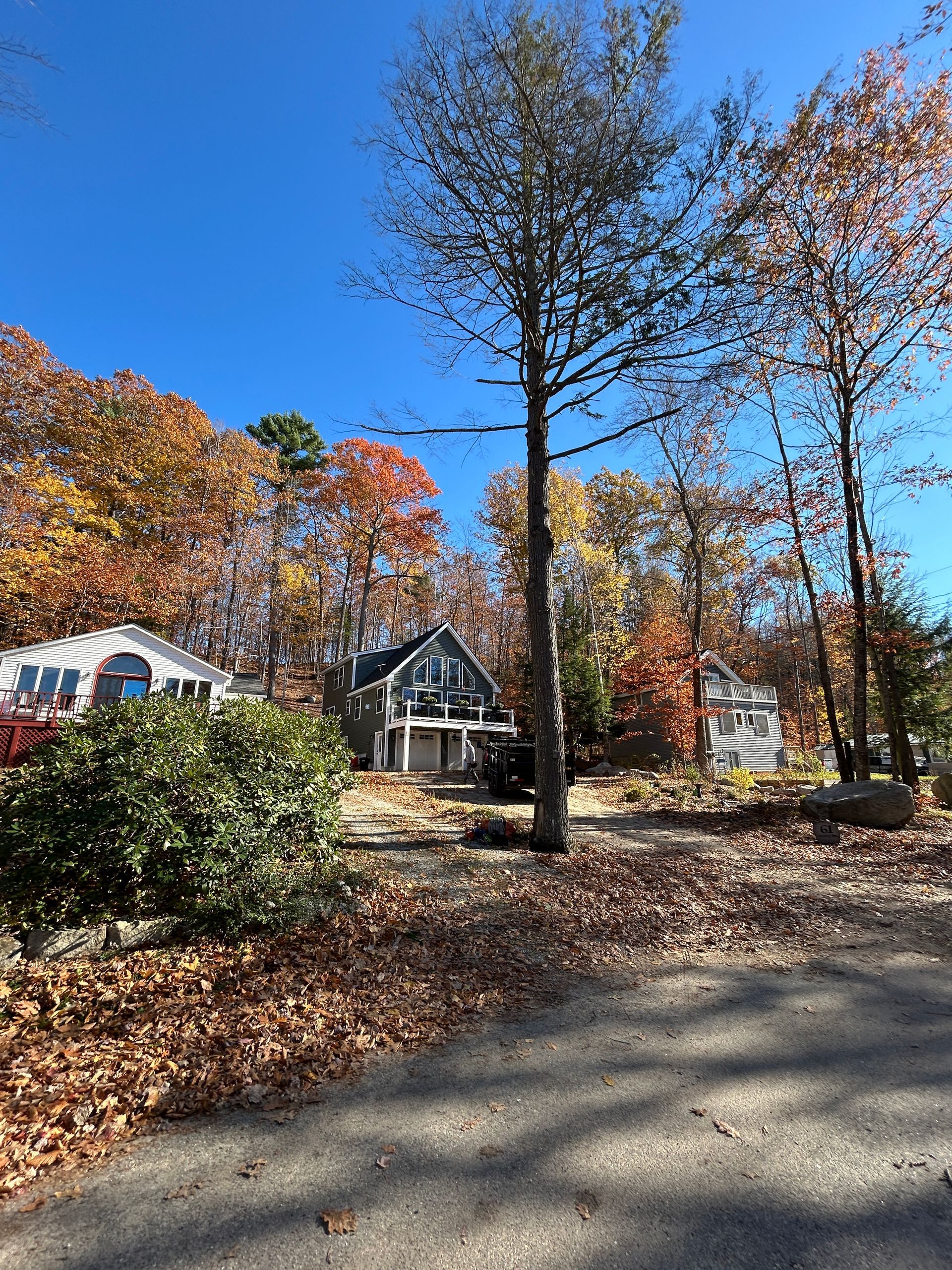 Autumn suburban street with tall trees, fallen leaves, and houses under a clear blue sky