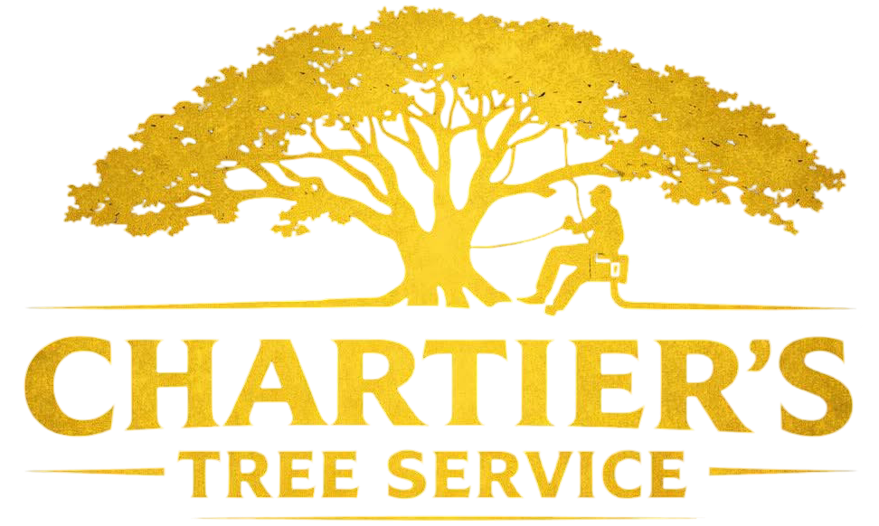 Gold Chartier&rsquo;s Tree Service logo with a tree, worker silhouette, and text