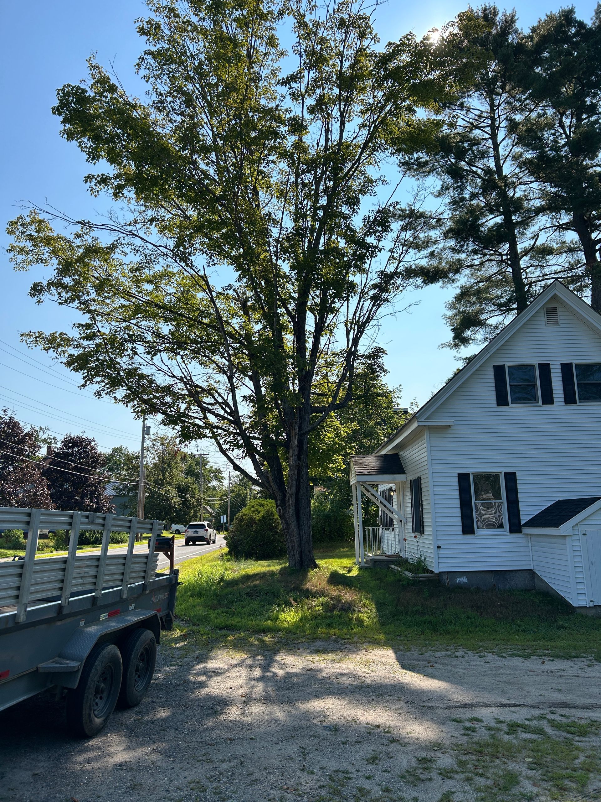 White house beside a tall tree and parked trailer on a sunny gravel driveway