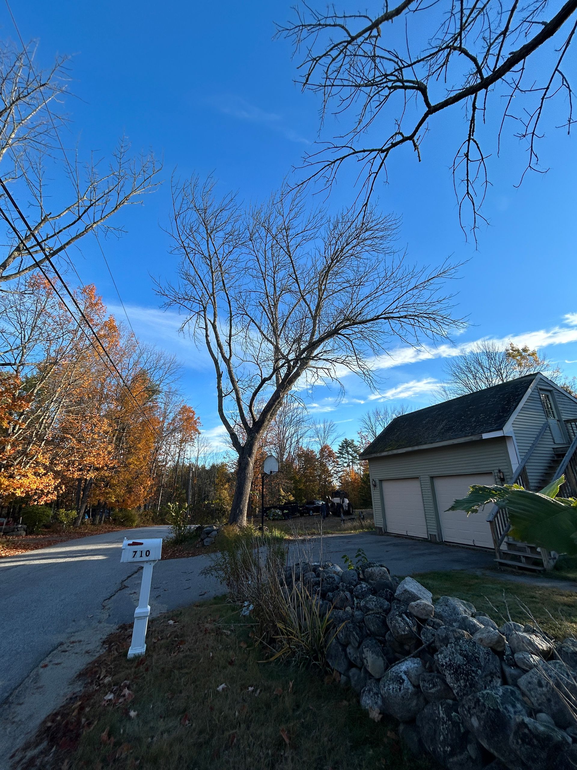 Suburban driveway and garage beside autumn trees under a clear blue sky