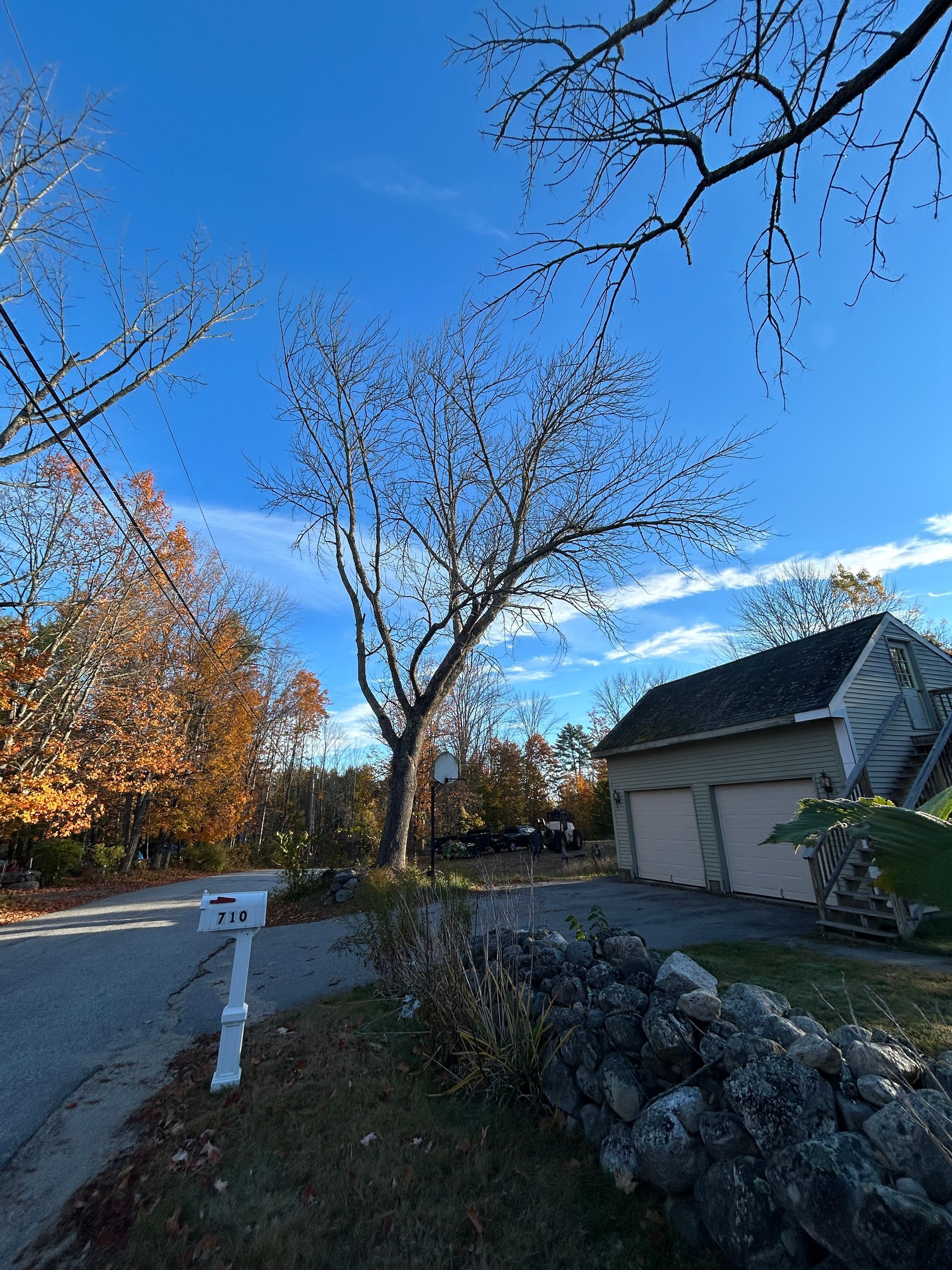 Leafy yard with a stone wall, bare trees, and a garage under a bright blue sky
