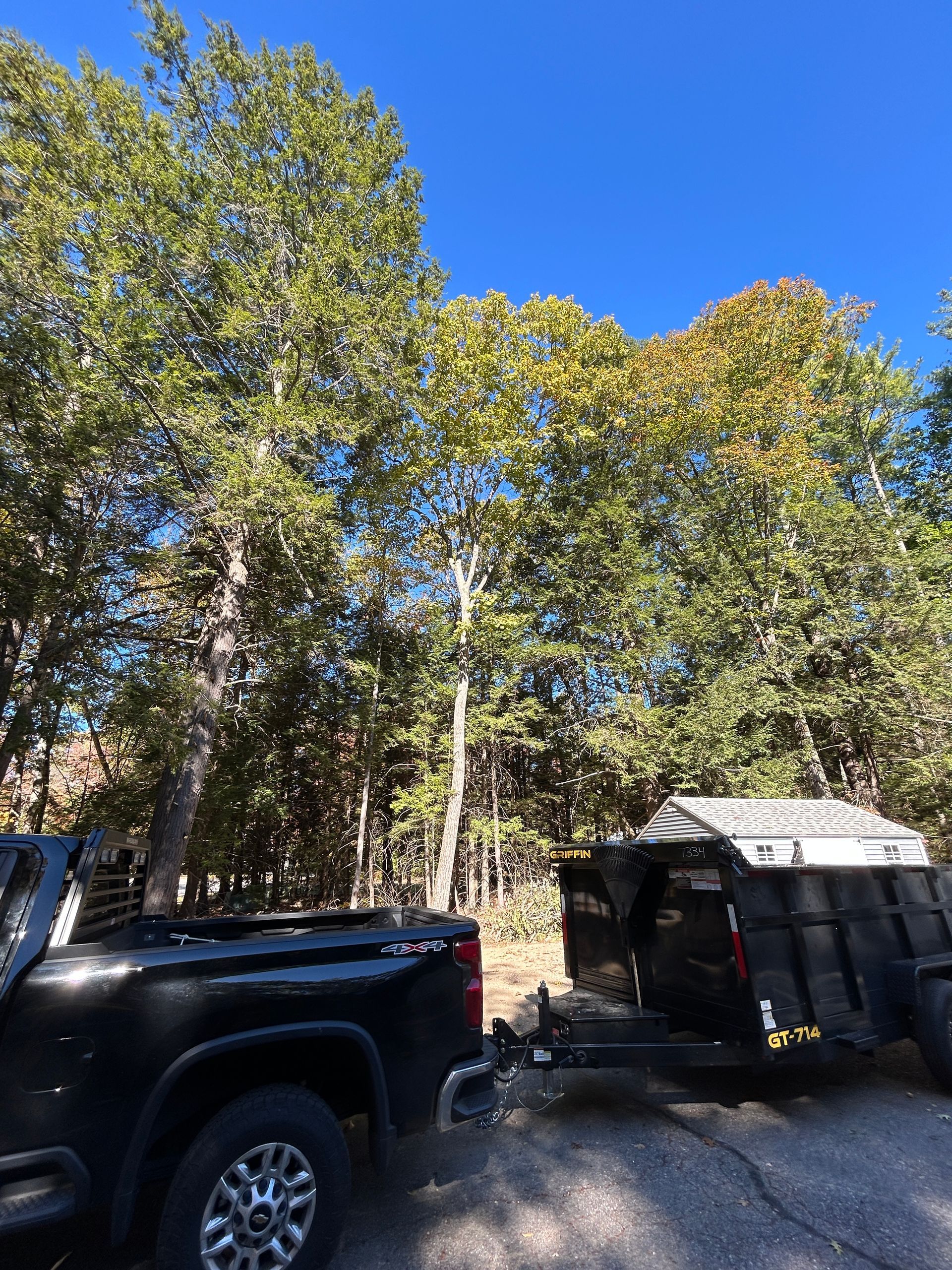 Black pickup truck towing a small trailer on a dirt road beside trees under a blue sky