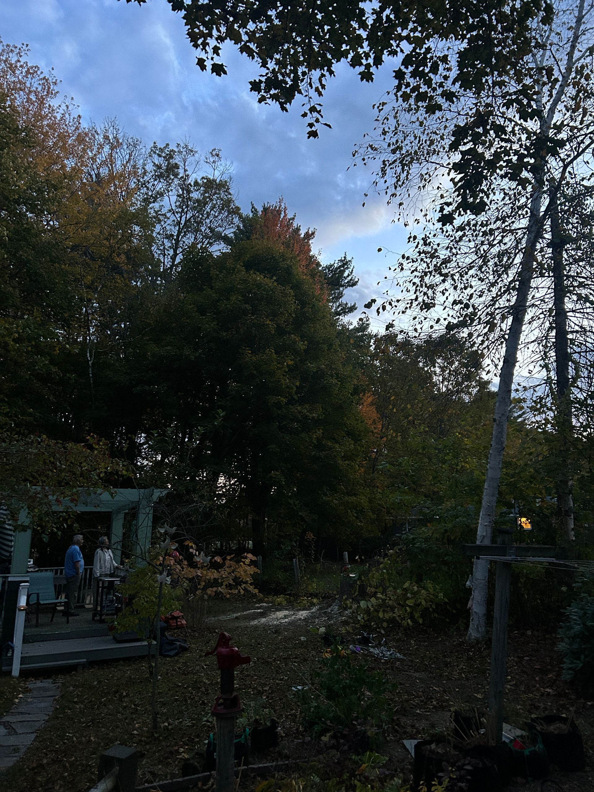Dusk in a wooded yard with tall trees, a small covered patio, and a person standing near the left side.