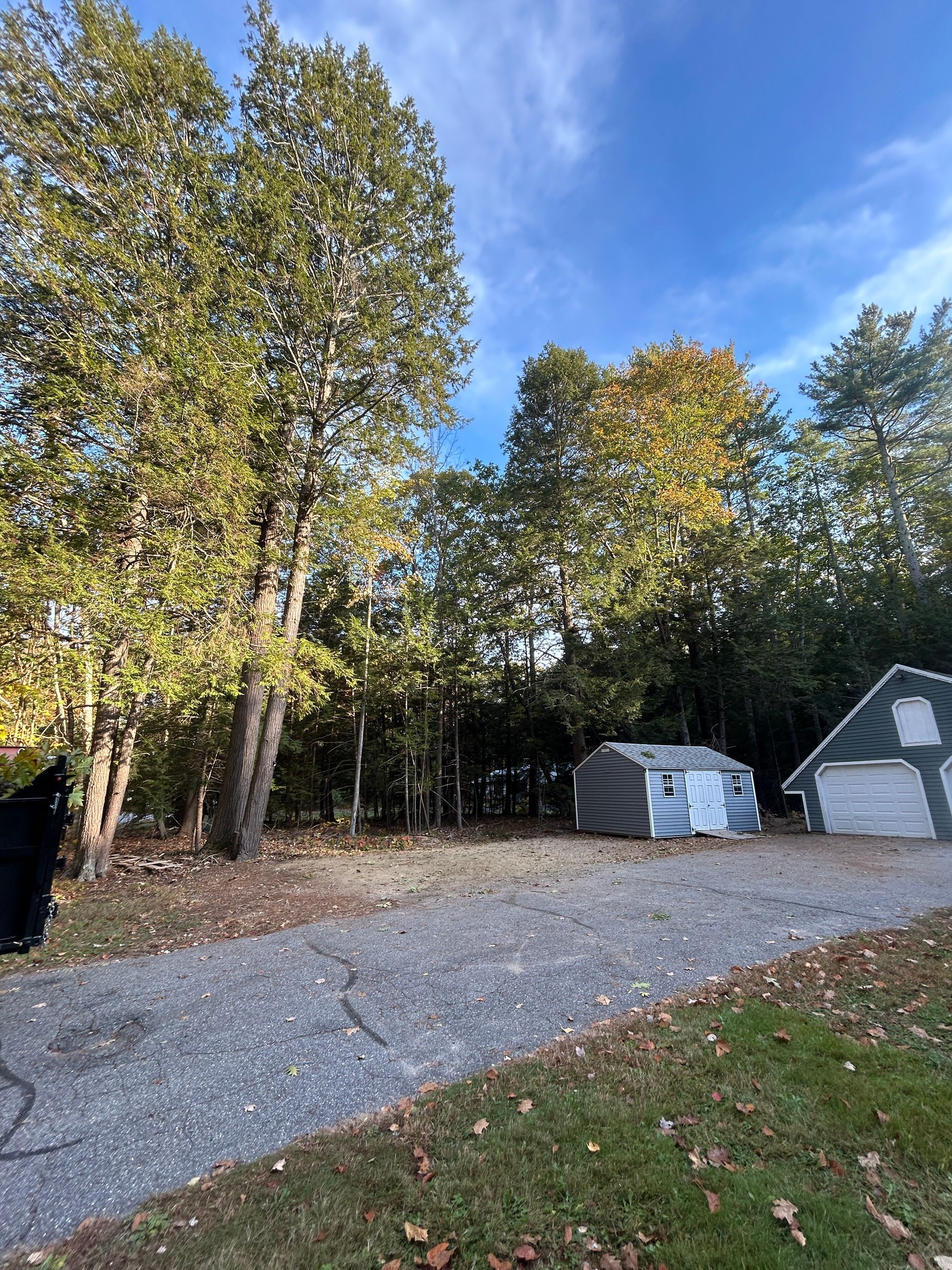 Gravel driveway beside tall trees, with stacked white materials and a small shed under a blue sky.