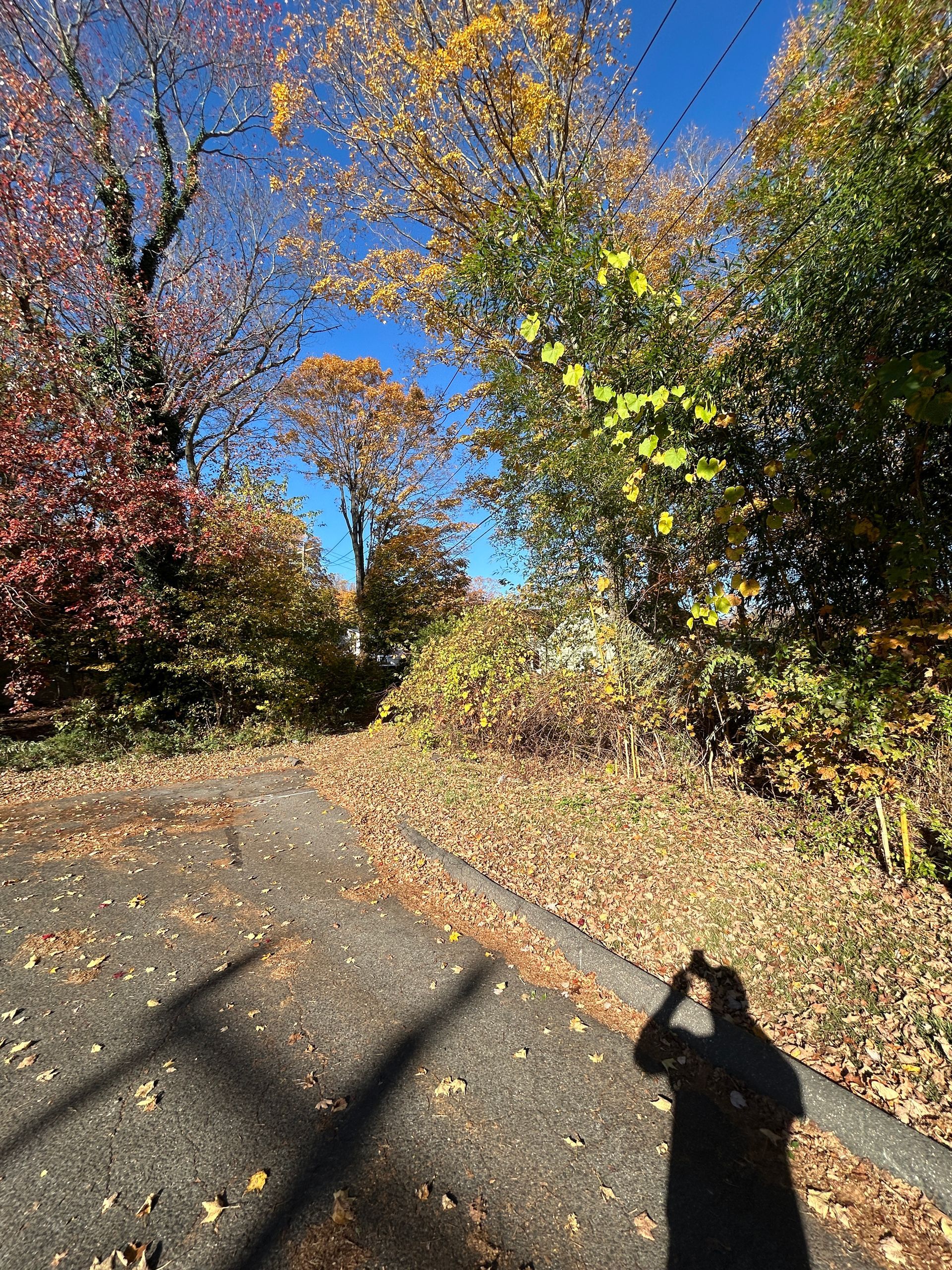 Sunlit autumn path with colorful trees, blue sky, and a shadow of a person taking the photo