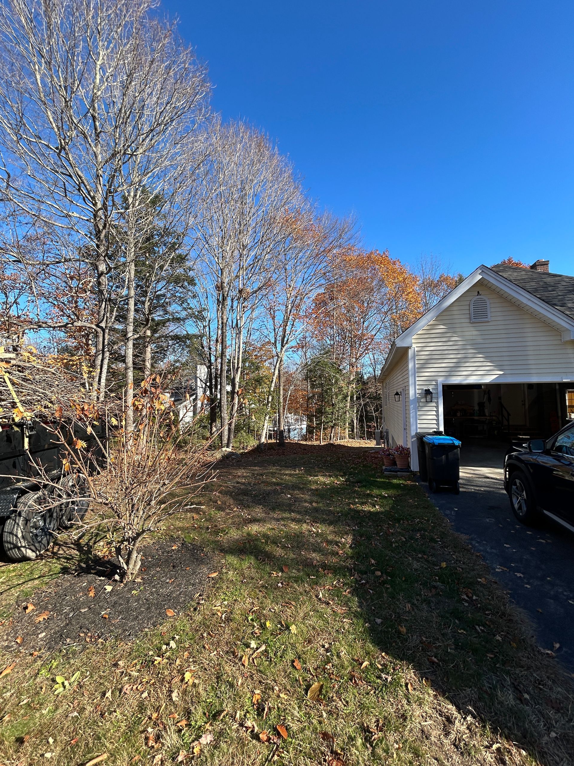 Suburban driveway beside a white garage, with bare trees, autumn leaves, and a clear blue sky.