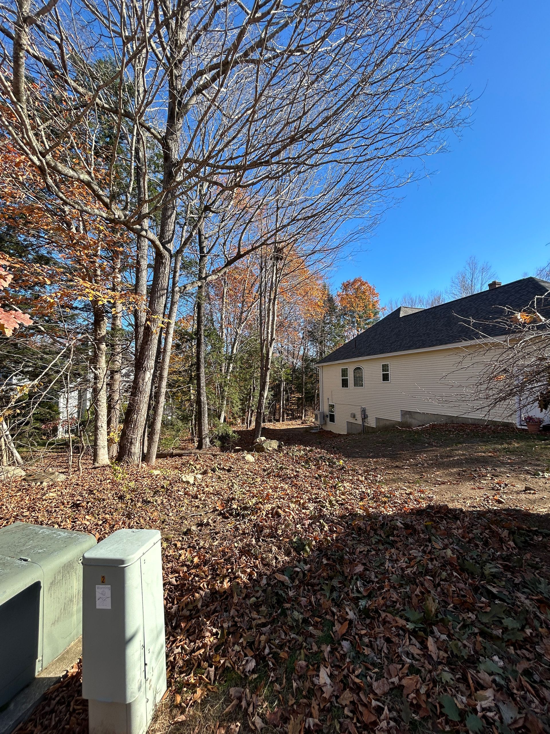 Leaf-covered yard with bare trees and a beige house under a clear blue sky.
