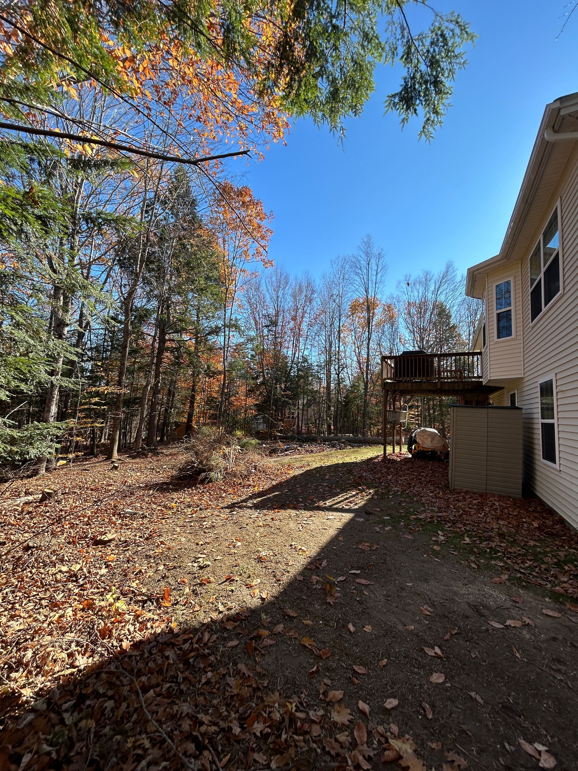 Backyard with autumn leaves, trees, and a beige house under a clear blue sky