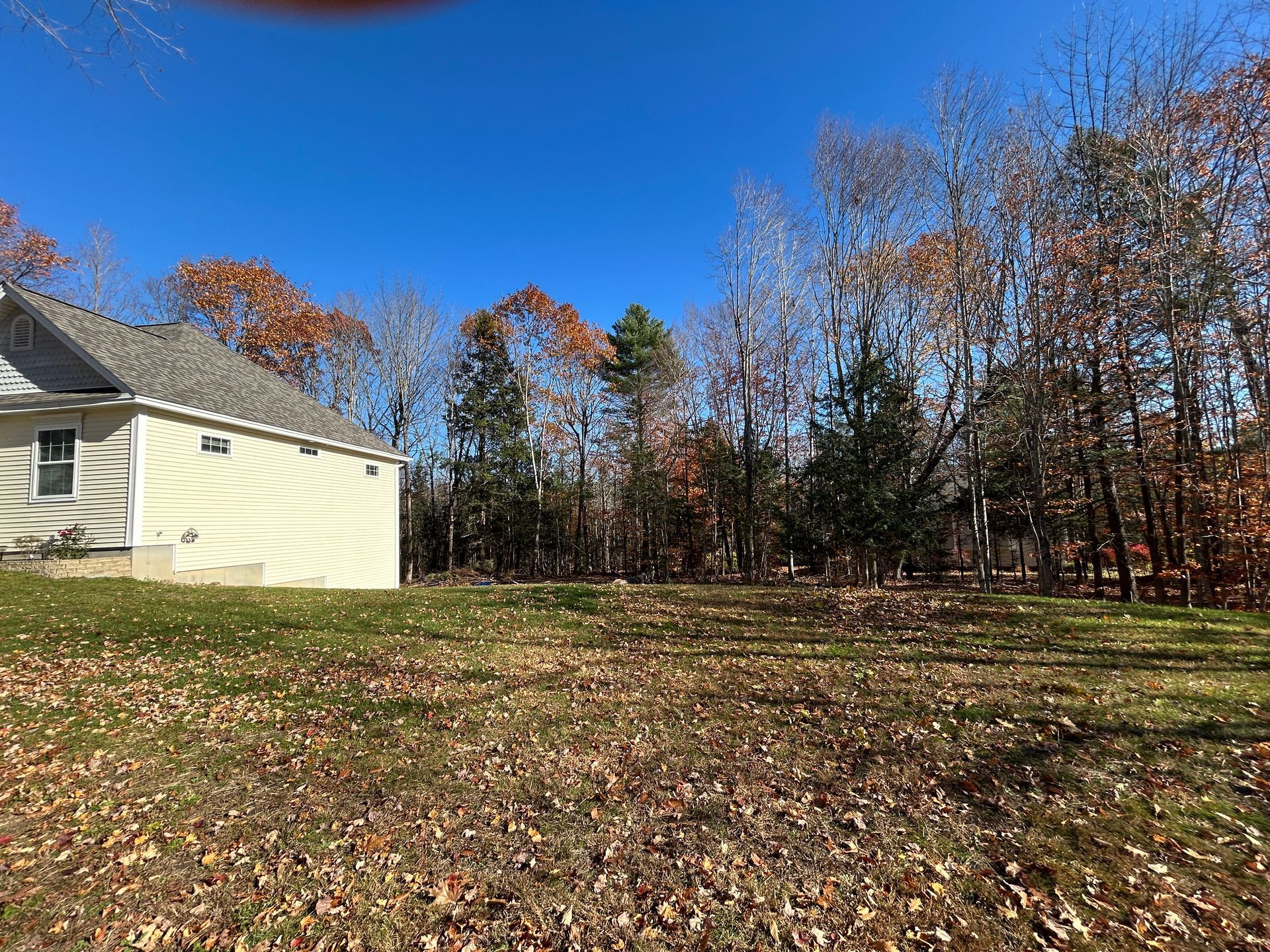 Backyard with a pale yellow house, leaf-covered lawn, and bare autumn trees under a clear blue sky