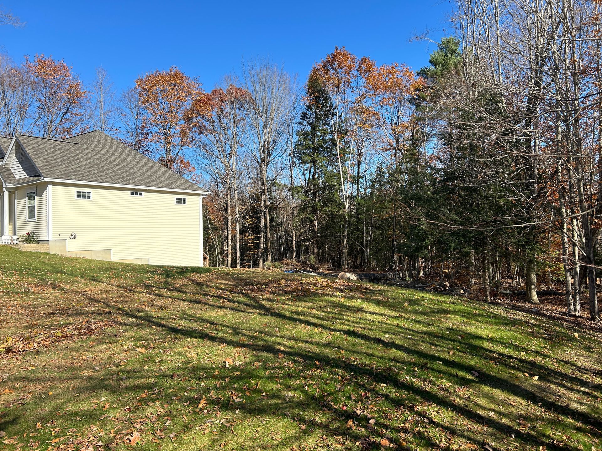 House beside wooded yard on a sunny autumn day, with long tree shadows on the grass.