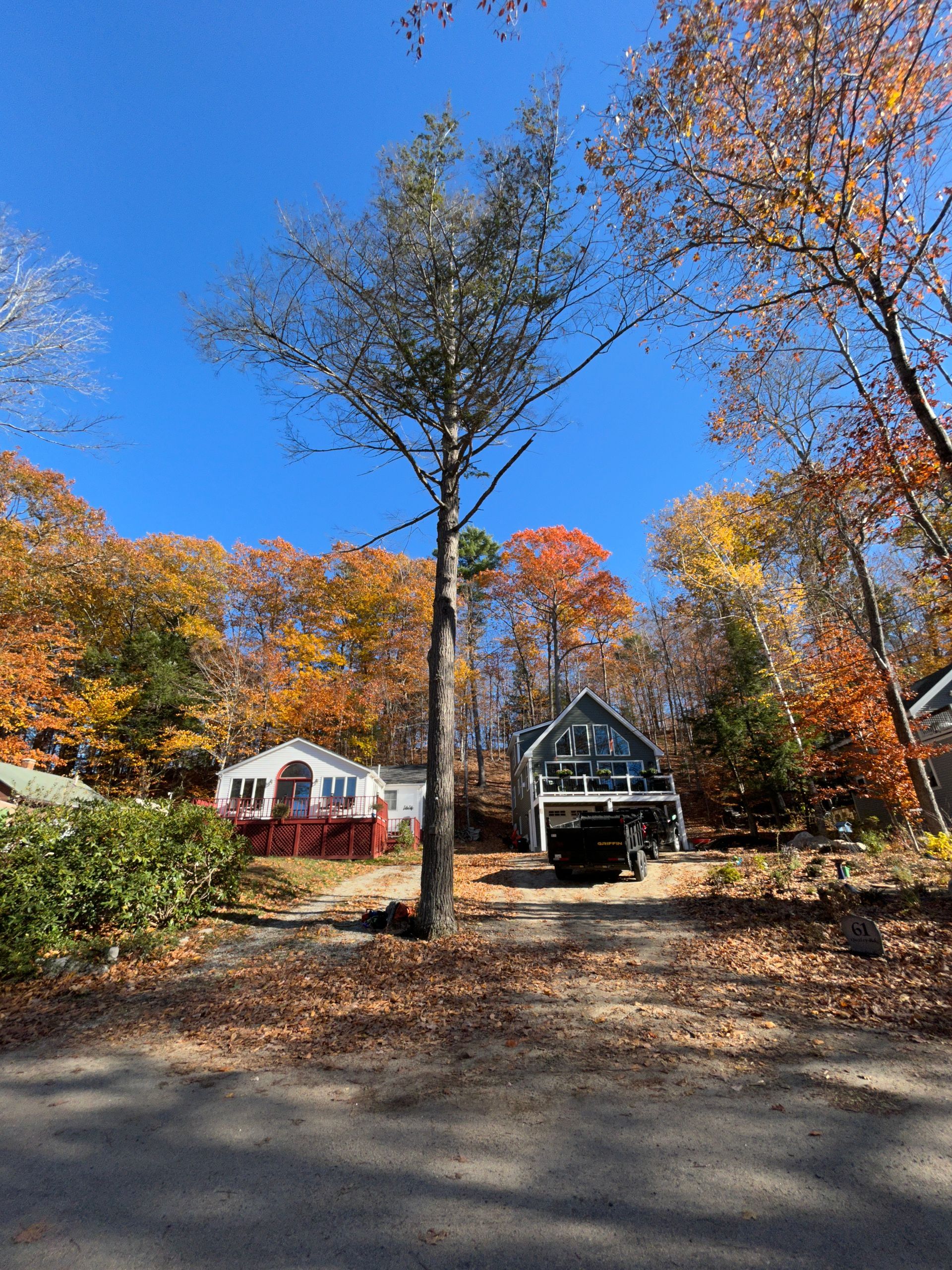 Autumn hillside with colorful trees and two houses under a bright blue sky