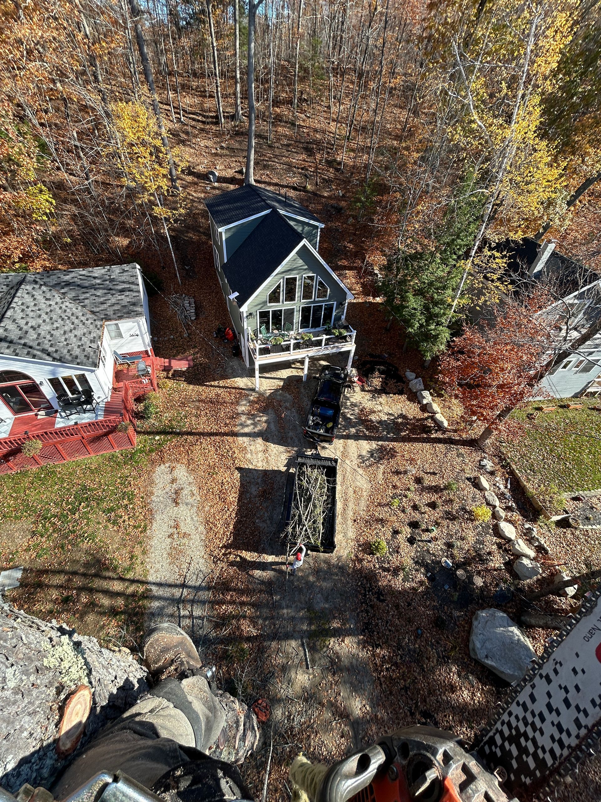 Autumn backyard with two small sheds, stone path, and a black roofed structure among trees