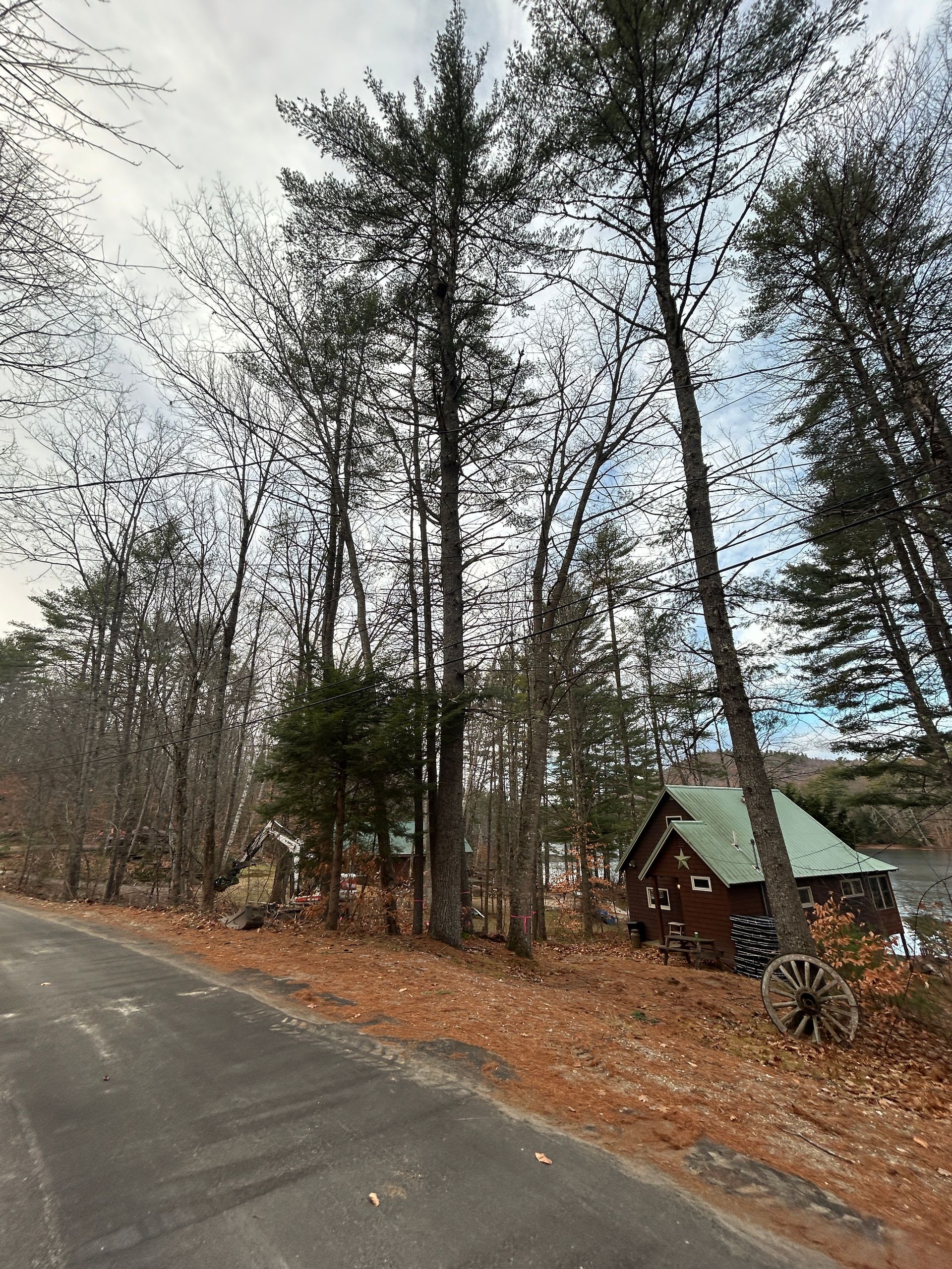Wooded roadside with a small cabin and leaf-covered ground under a cloudy sky