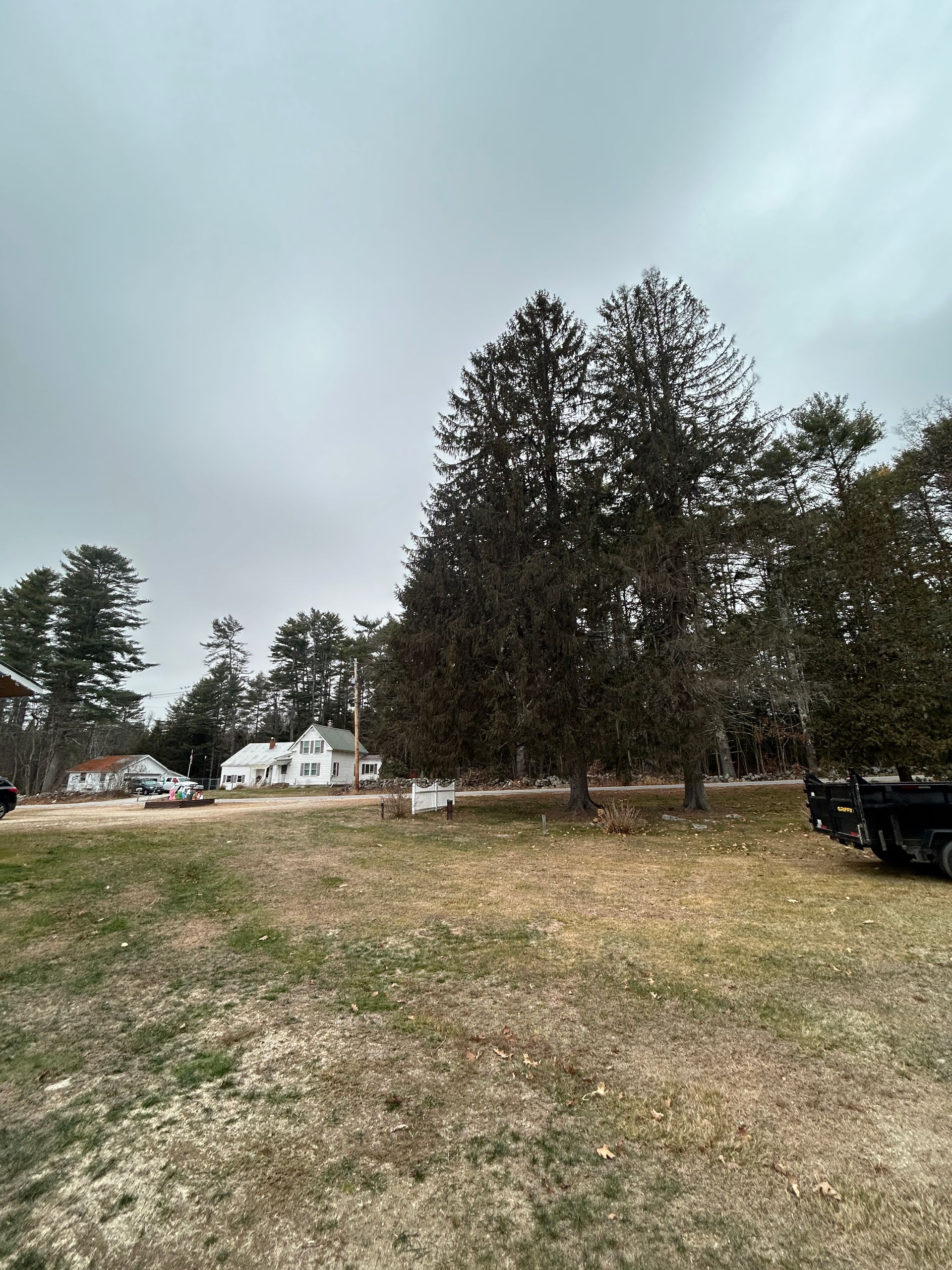Snowy yard with tall evergreen trees, a white house in the background, and a parked truck on the right