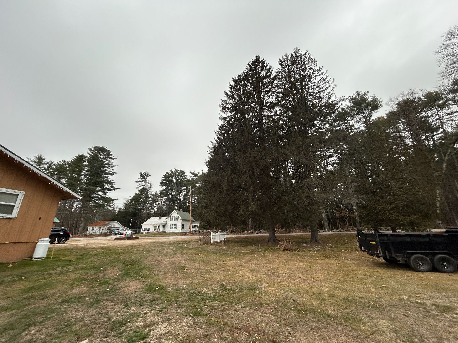 Wooded yard with a tan house, tall trees, and a black trailer under a gray sky.