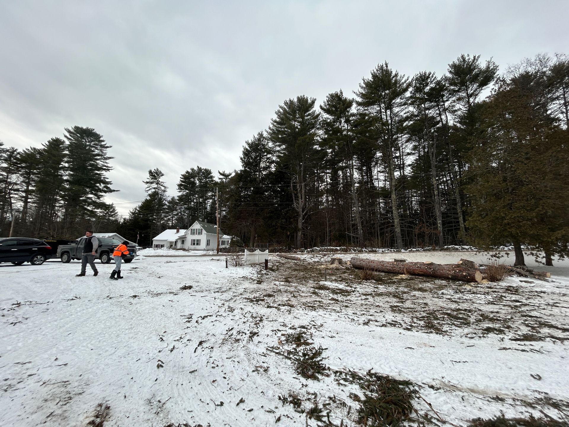 Snow-covered field beside a forest, with people and vehicles near a white house on a cloudy day