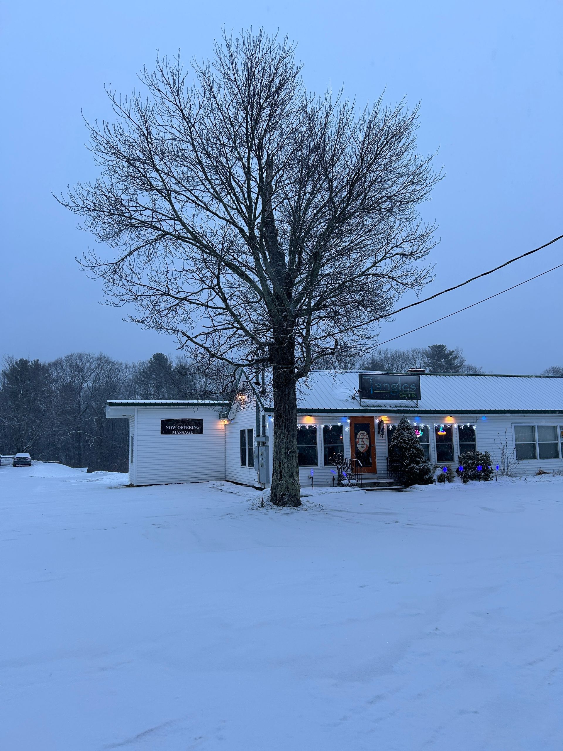 Snow-covered yard with a tall tree and a small lit building at dusk.