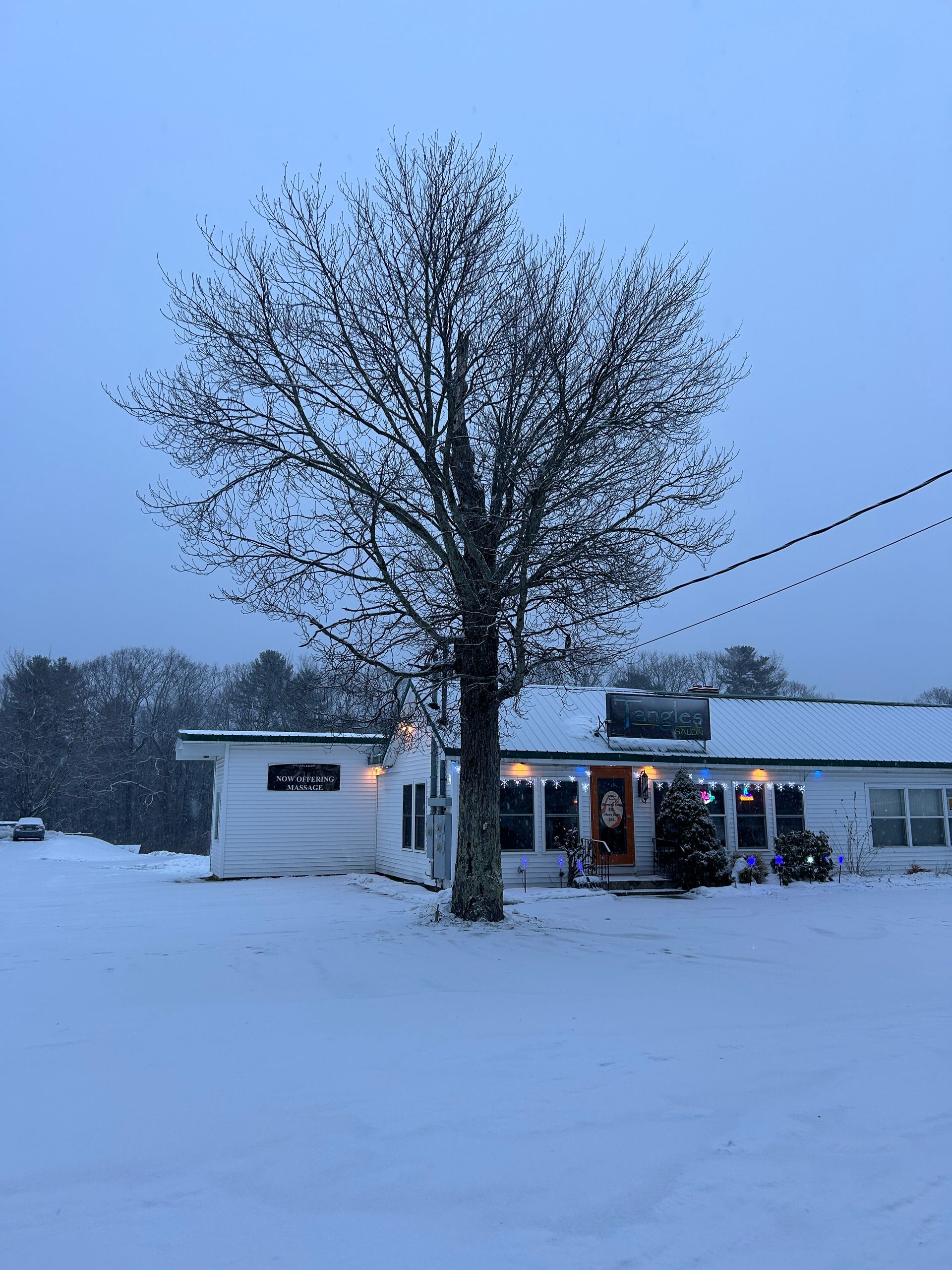 Snowy yard with a lit house, bare tree, and dusk sky in winter.