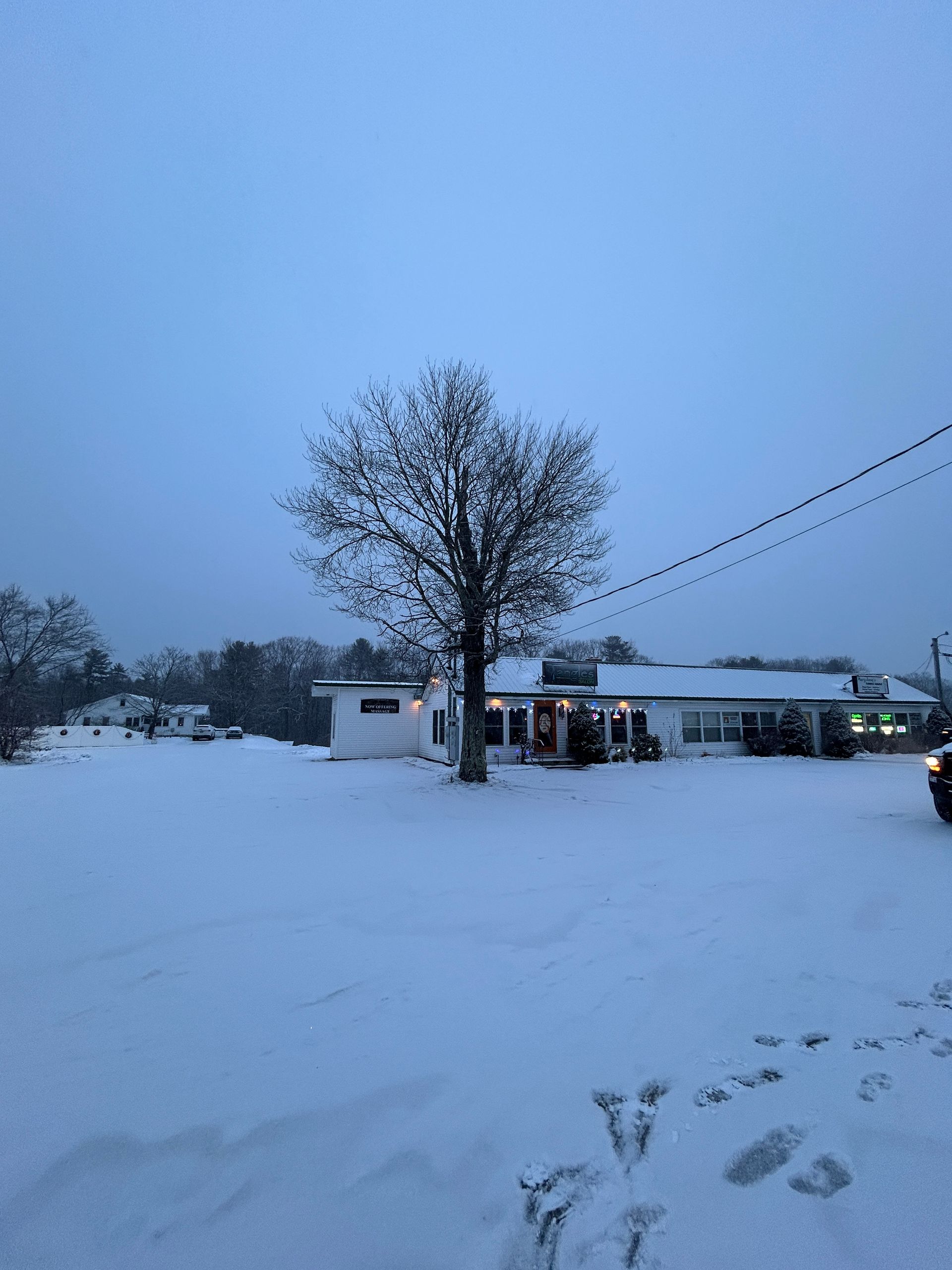 Snow-covered yard at dusk with a bare tree and houses in the background.