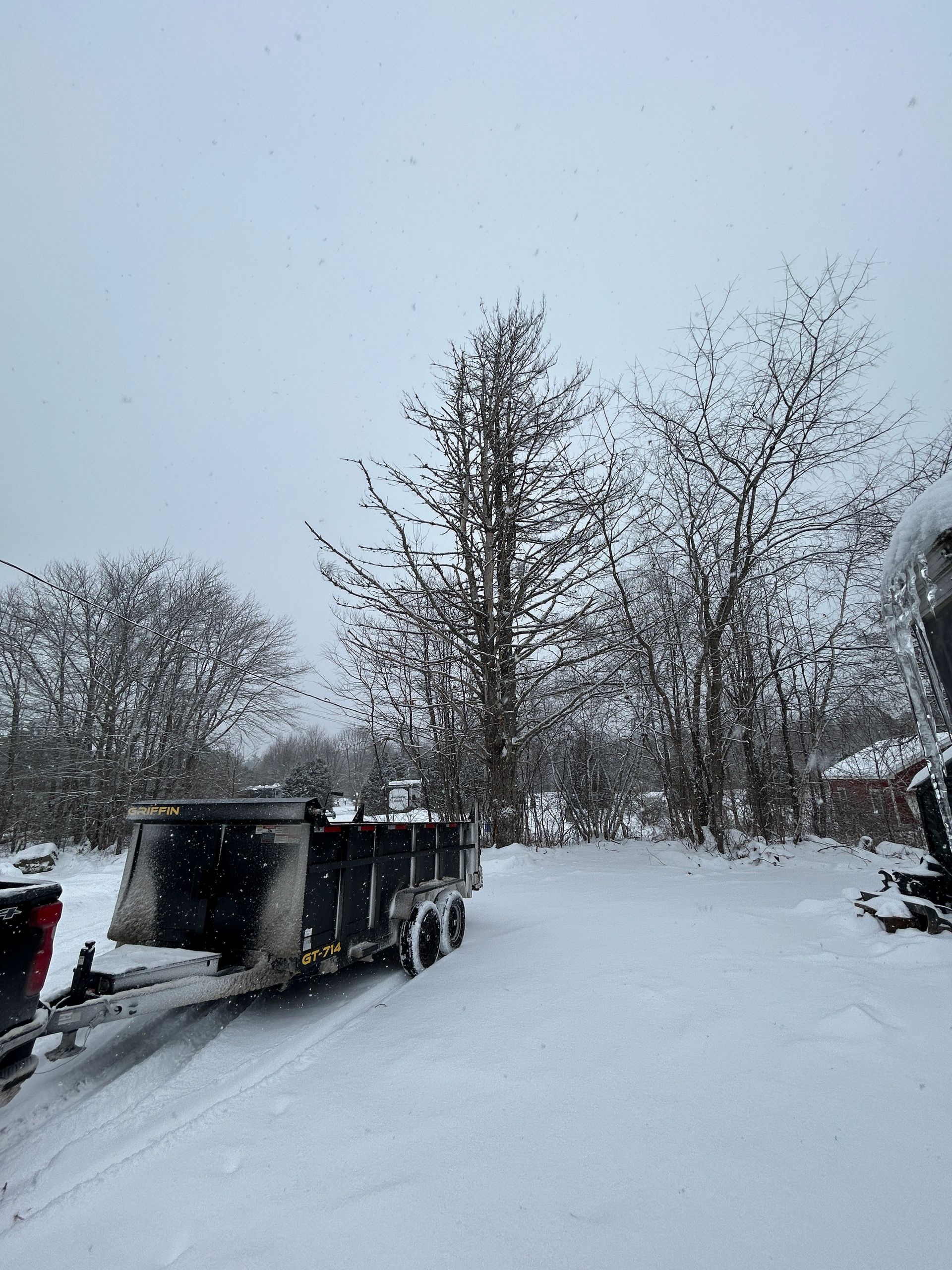 Snow-covered road with trash bins lined up beside bare trees under a gray winter sky