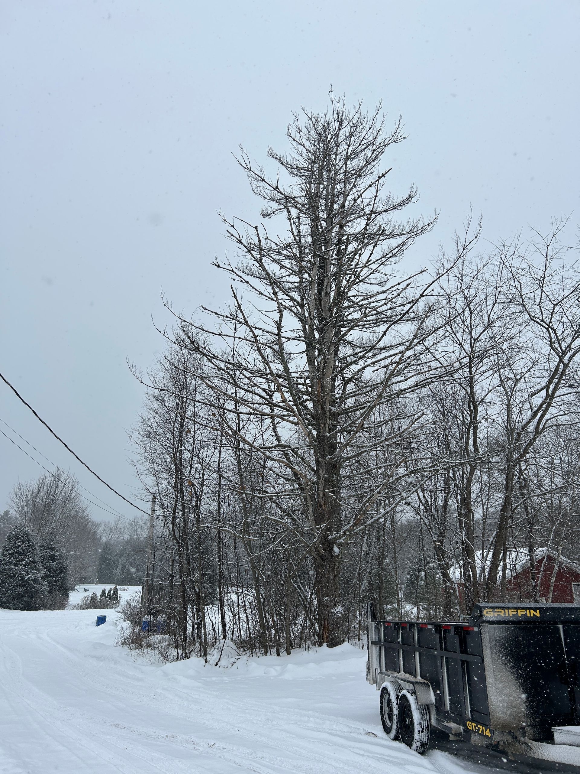 Snowy rural road with bare trees and a black utility trailer under a gray winter sky